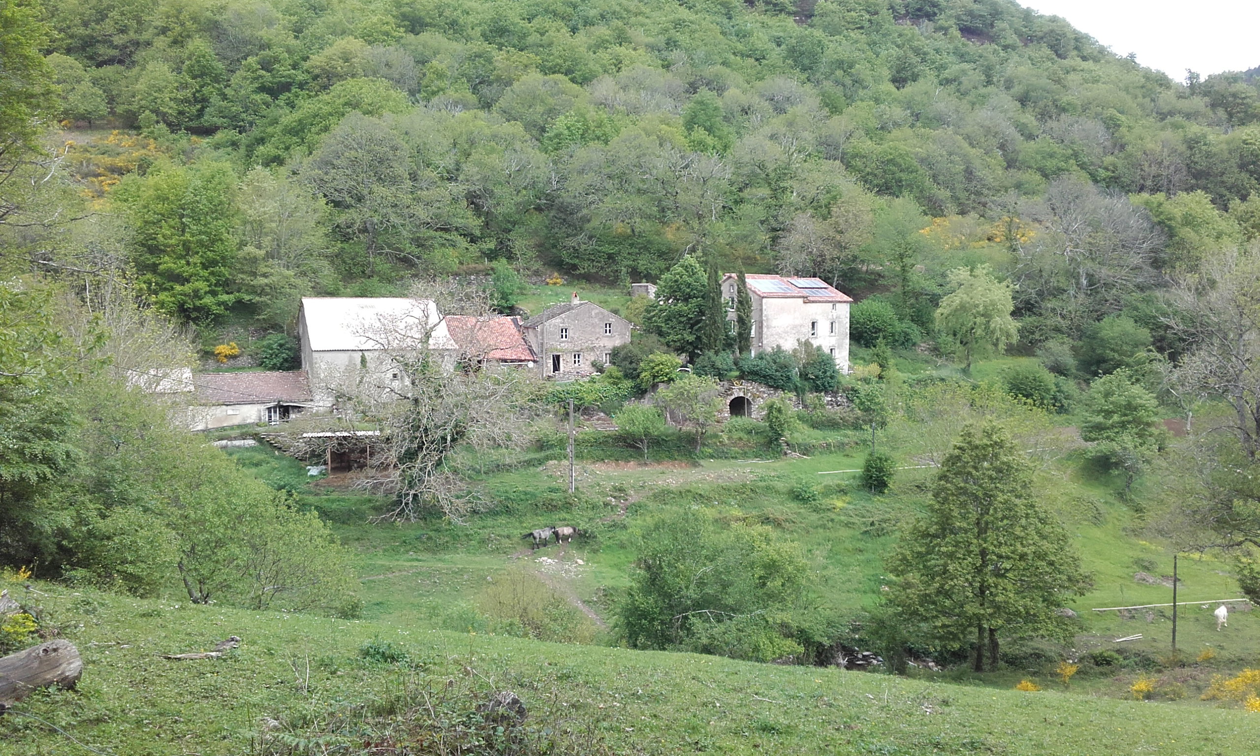 - image: 16