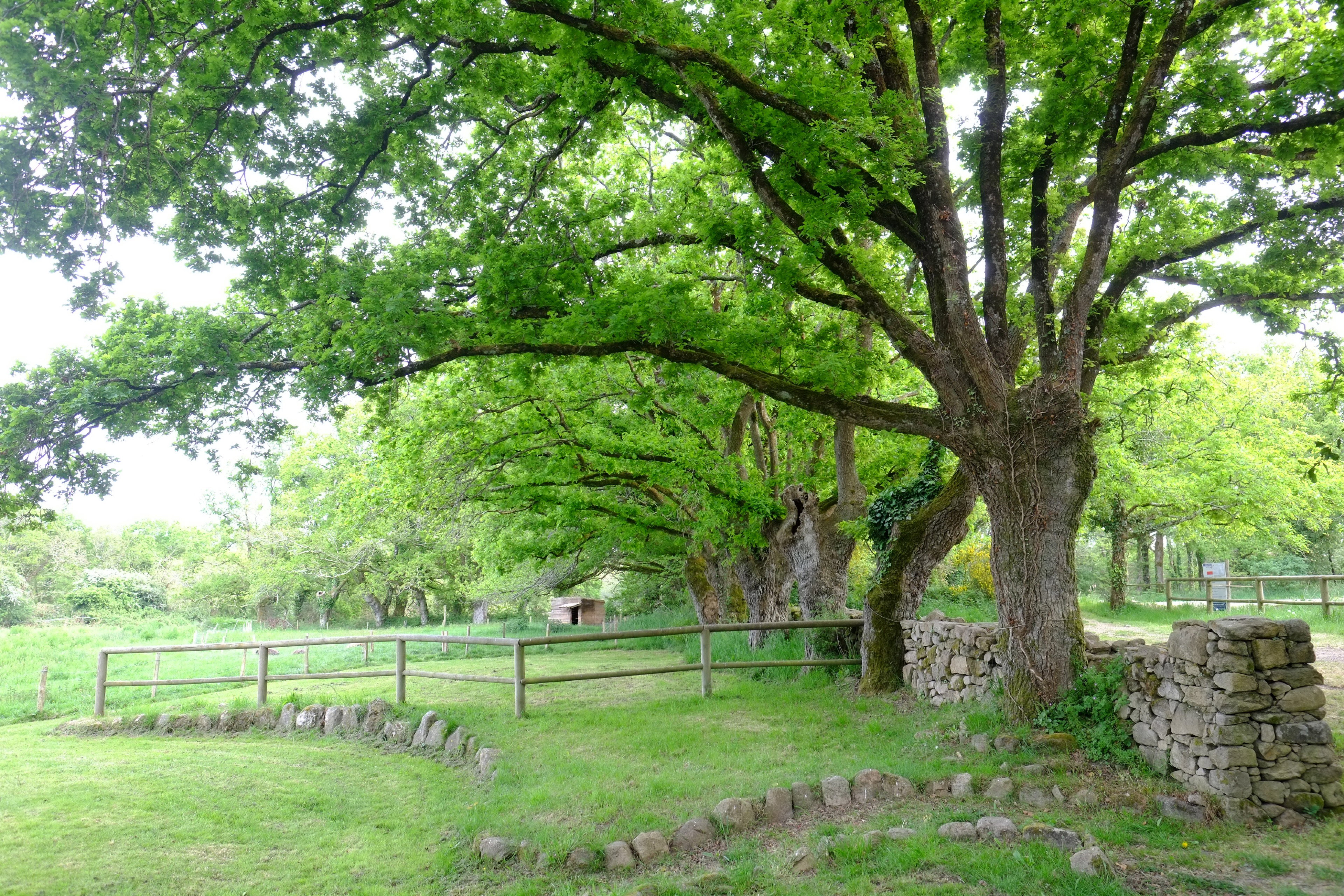 - image: 16