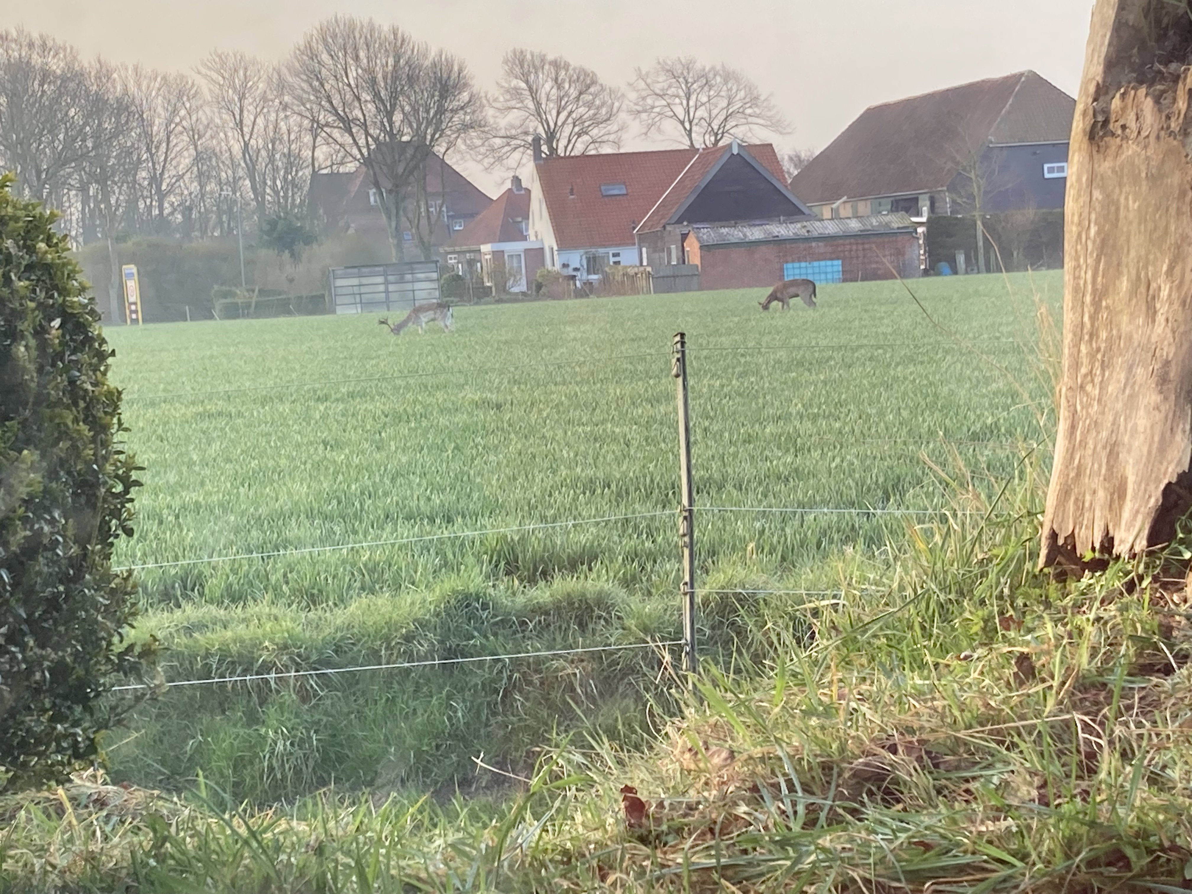 Naturhäuschen in Oostkapelle