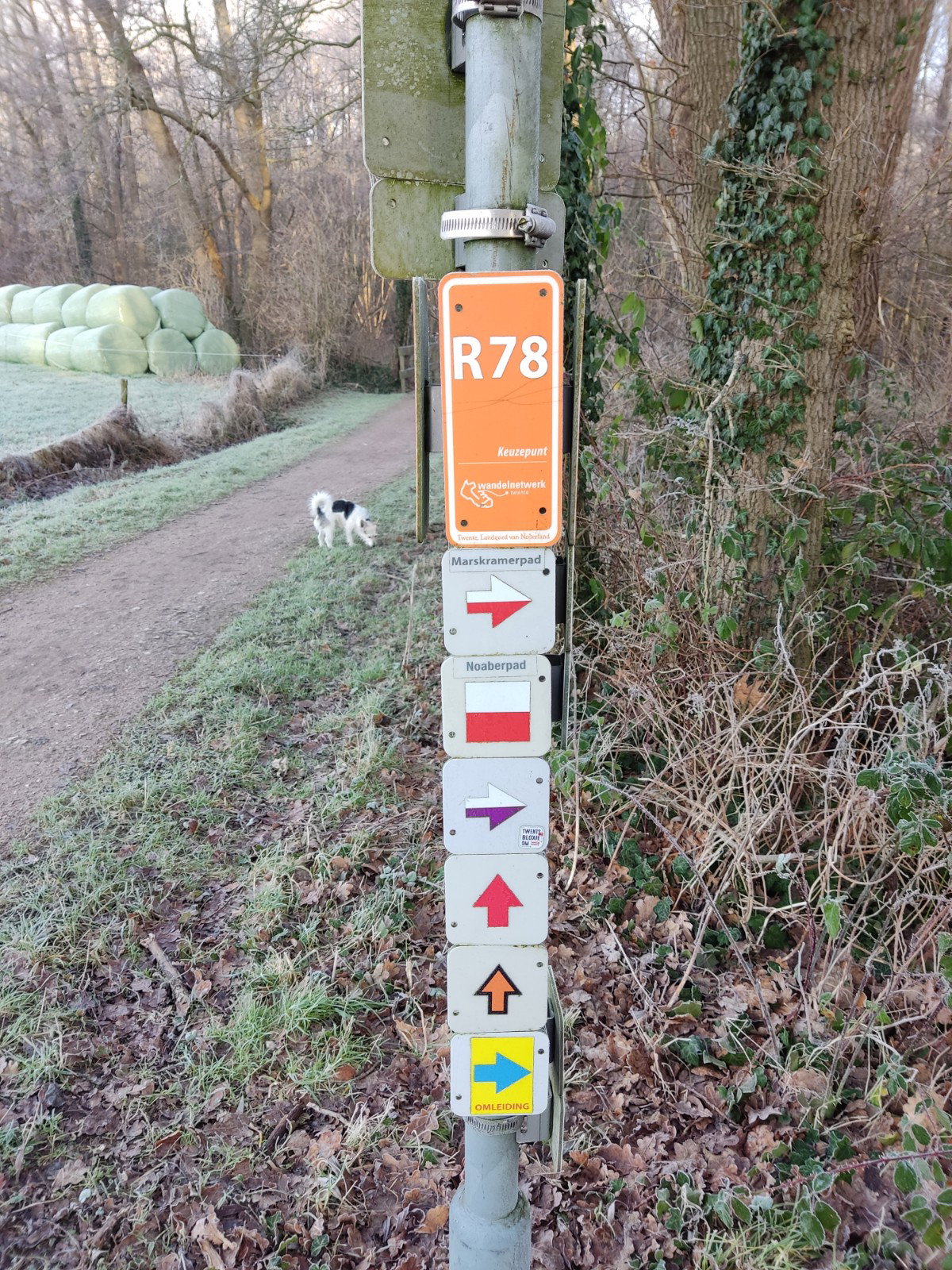 Casa nella natura a de Lutte