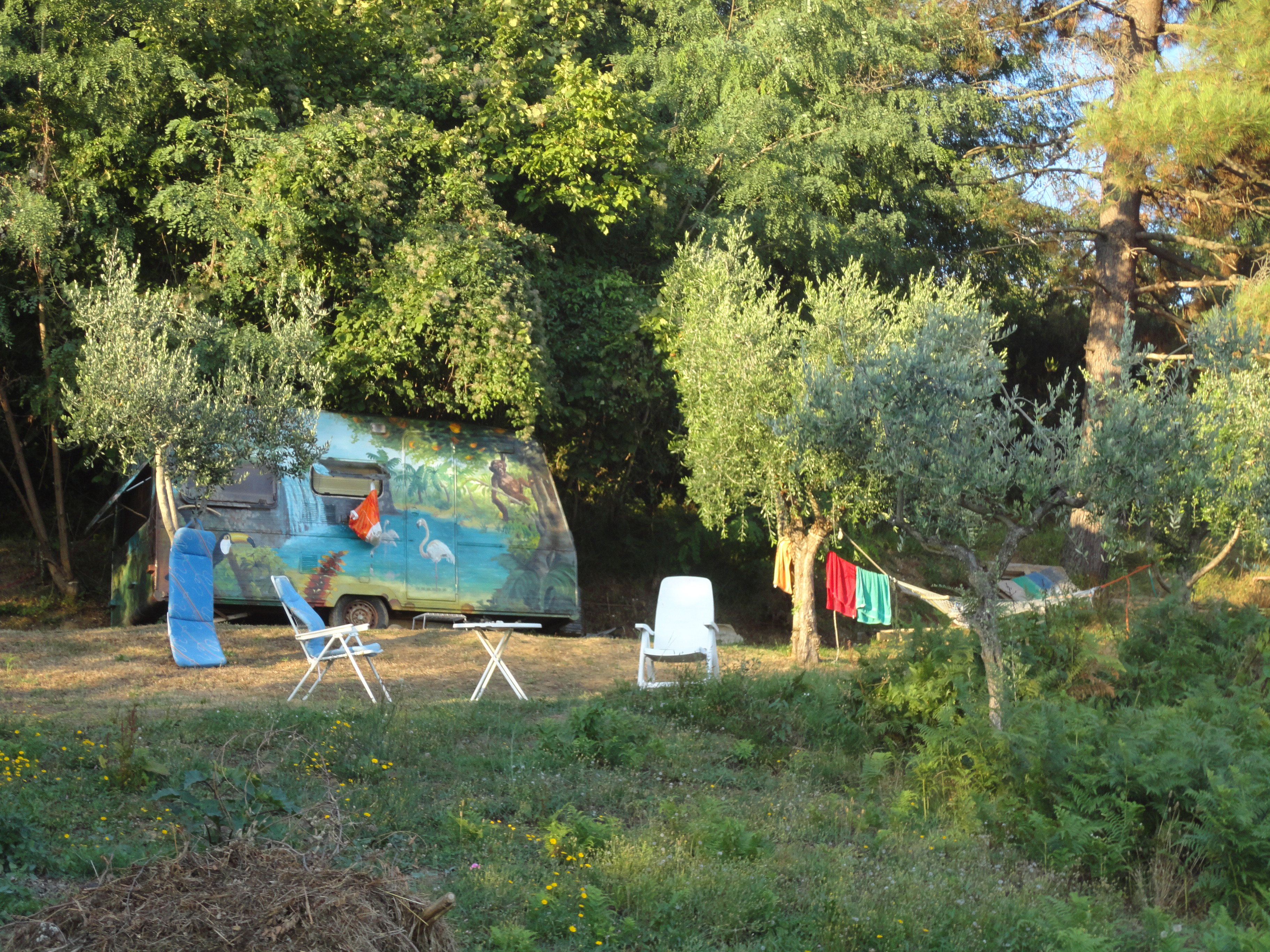 Maison nature à Uzzano