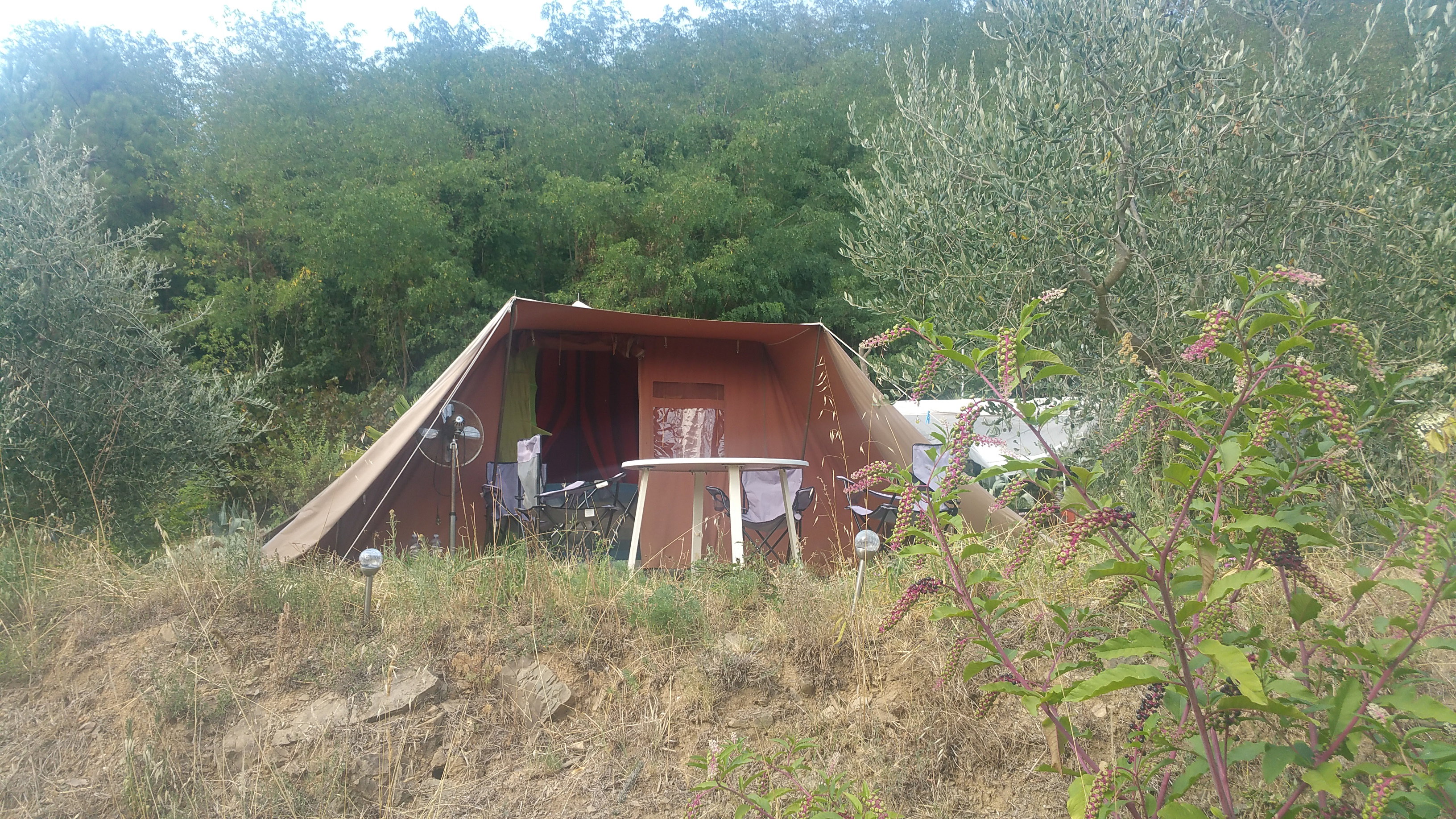 Maison nature à Uzzano