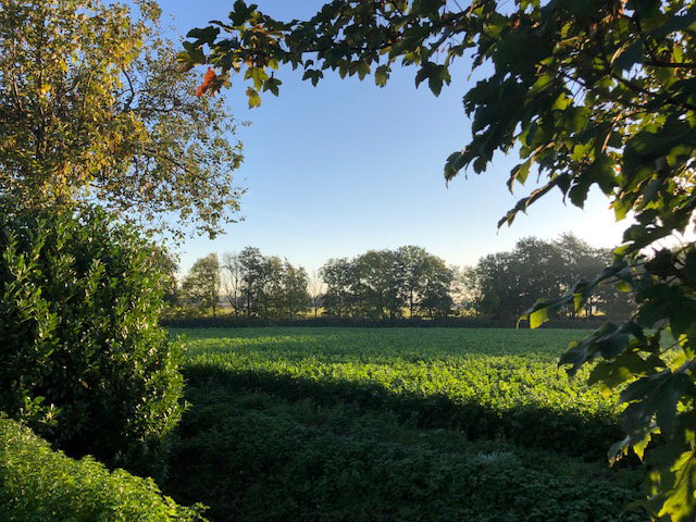 Naturhäuschen in Egem