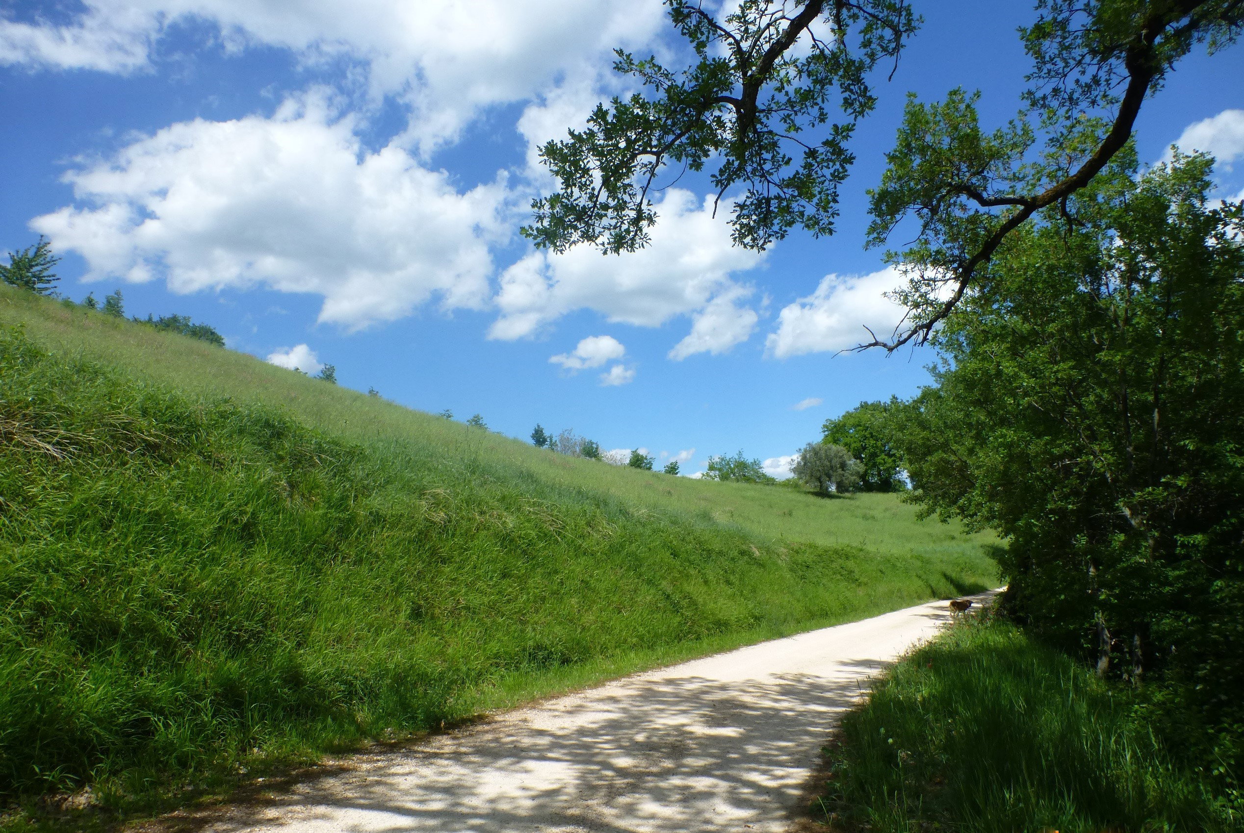 Maison nature à San Severino Marche