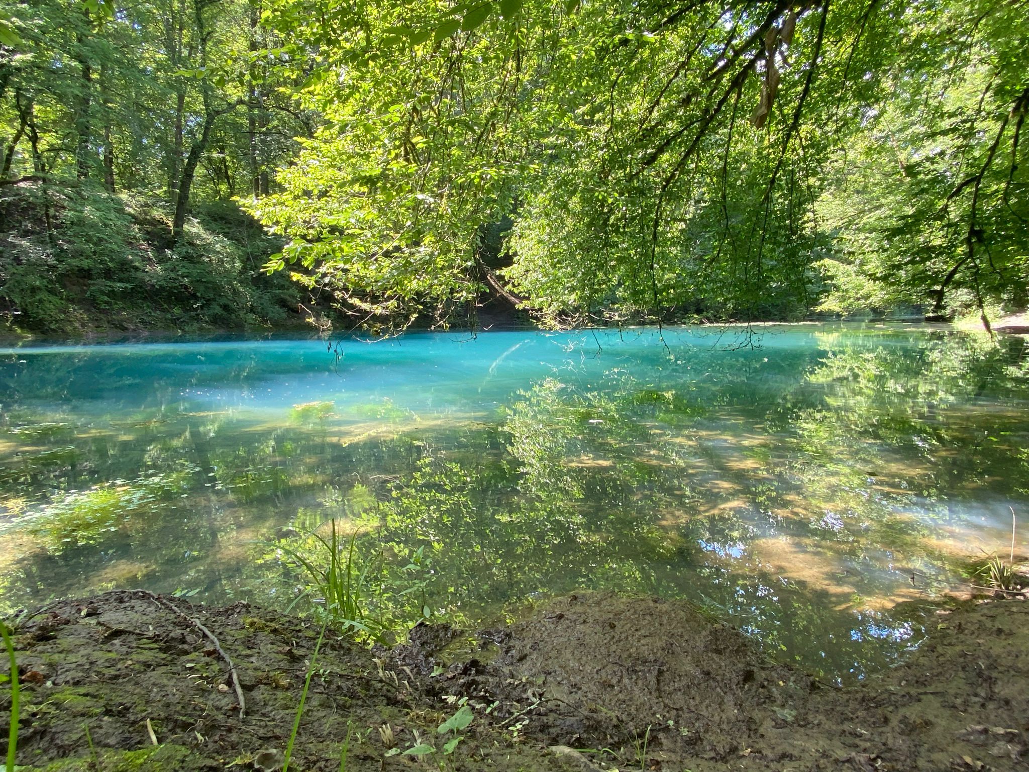 - image: 41