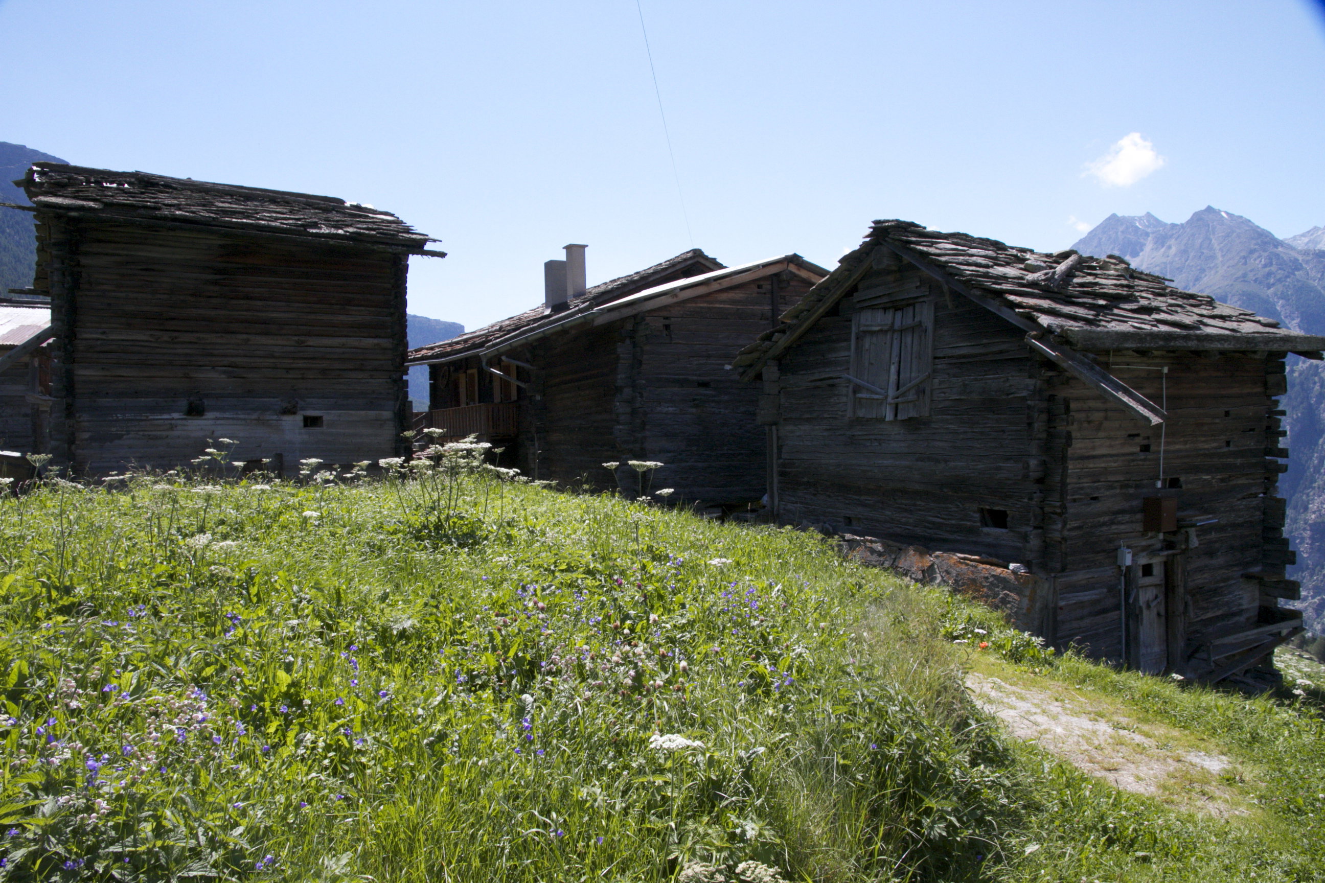 - image: 17