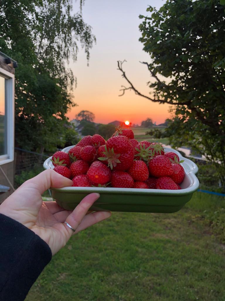 Naturhäuschen in Sibbe