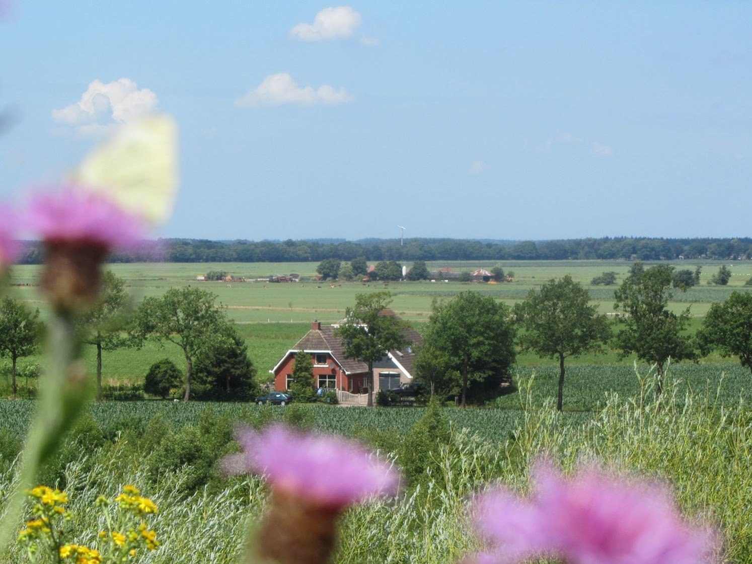 Naturhäuschen in Oosterwolde