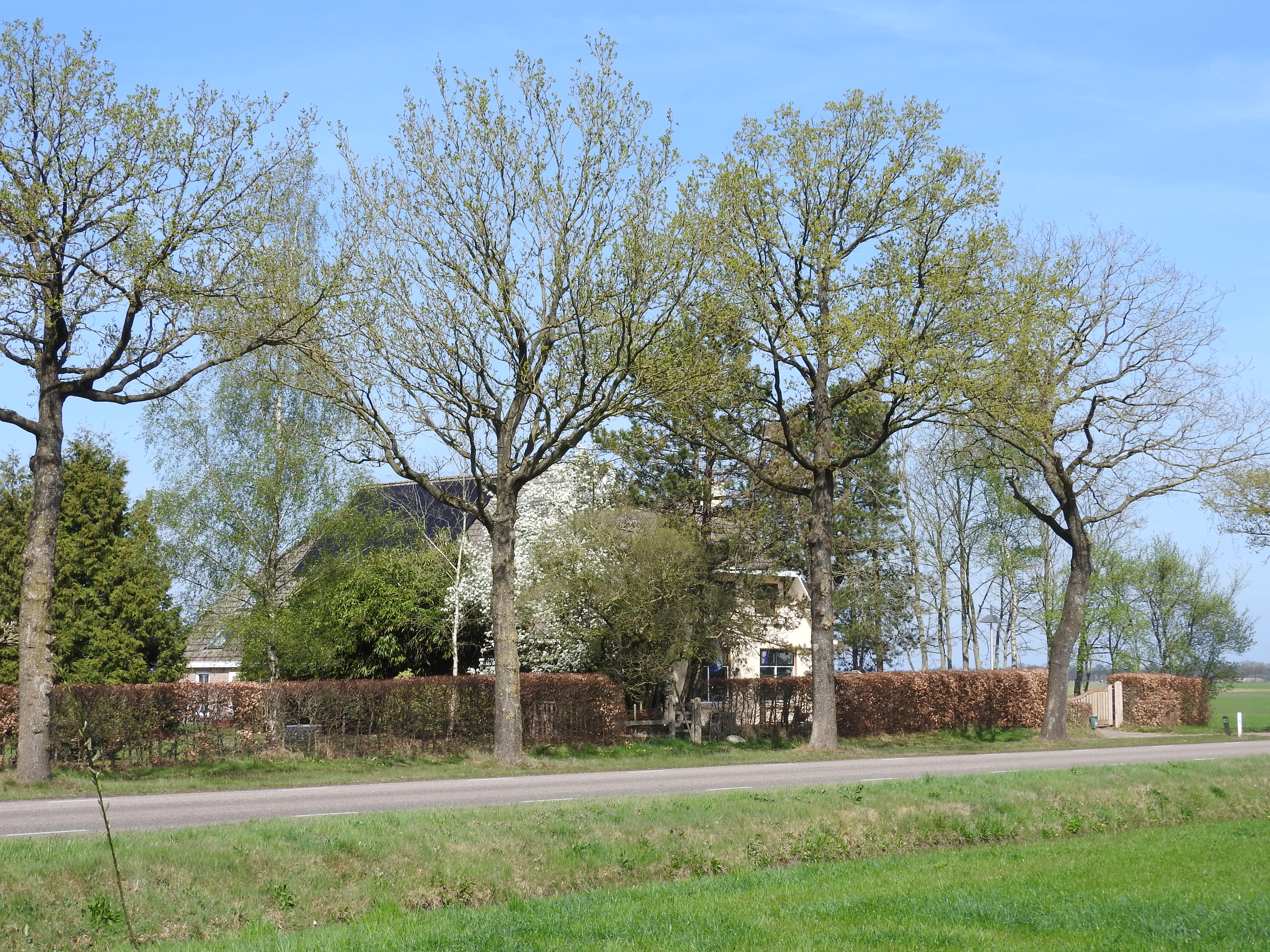 - image: 24
