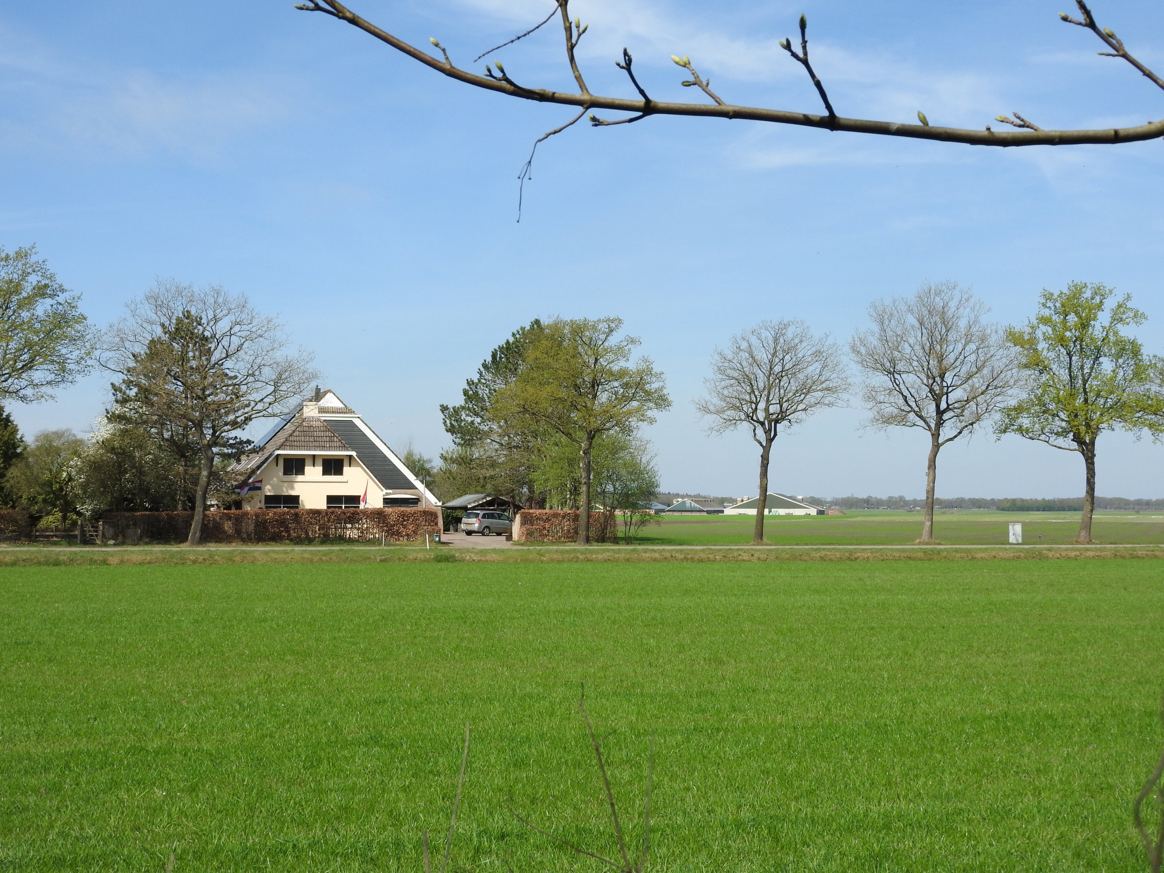 Naturhäuschen in Oosterwolde