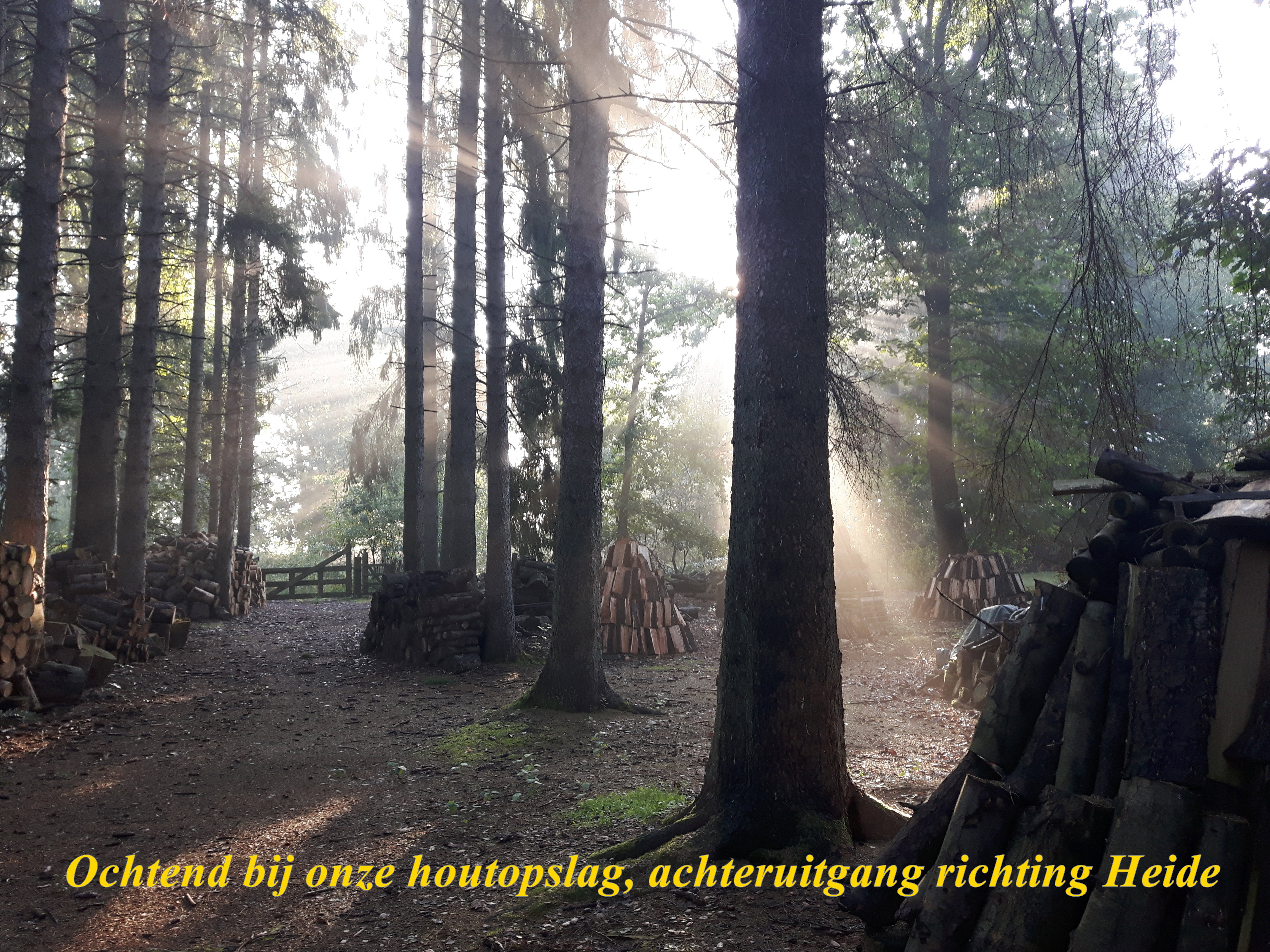- image: 24