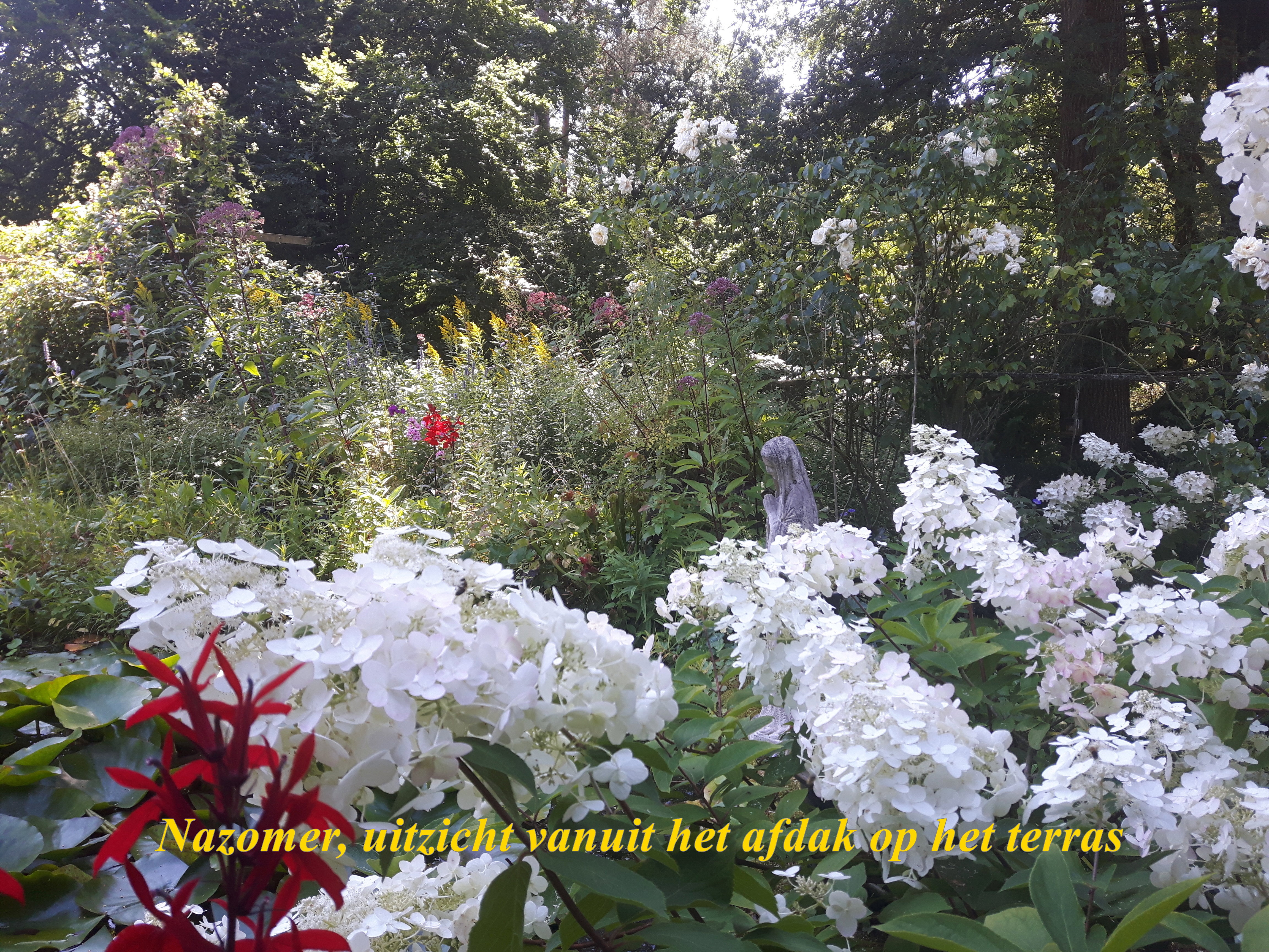 - image: 22