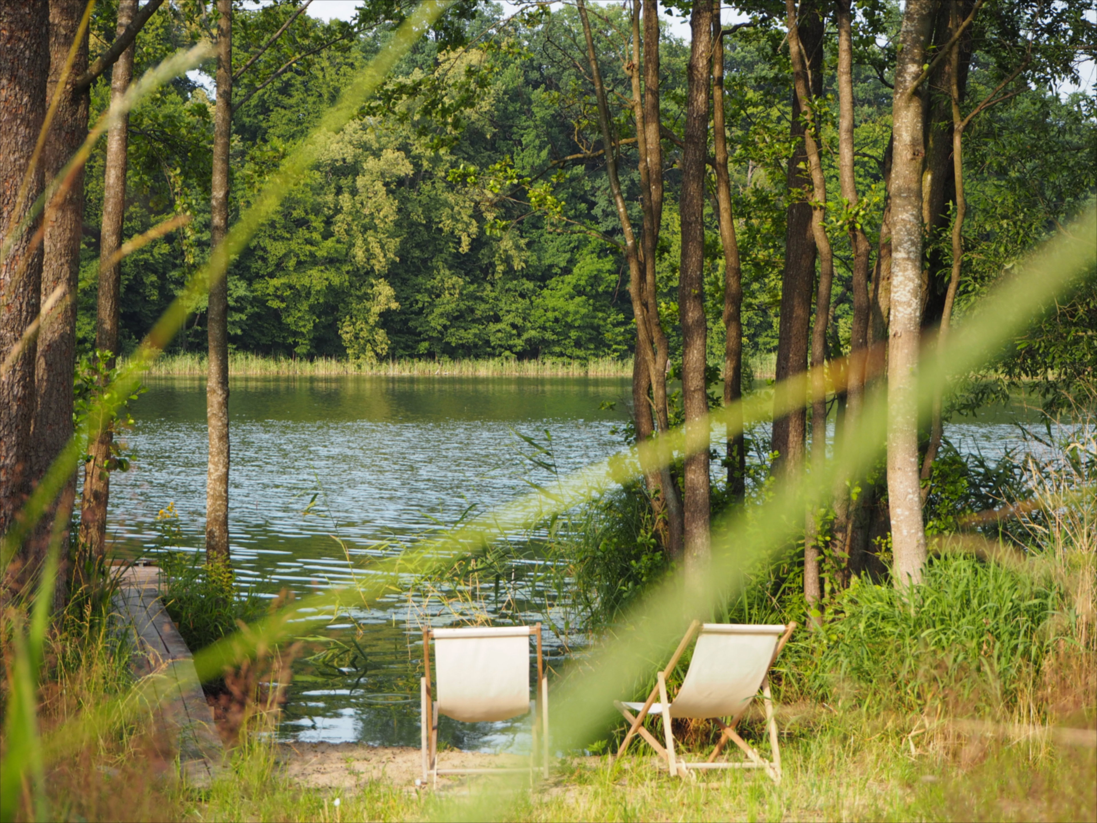 Natuurhuisje in Bieniasze