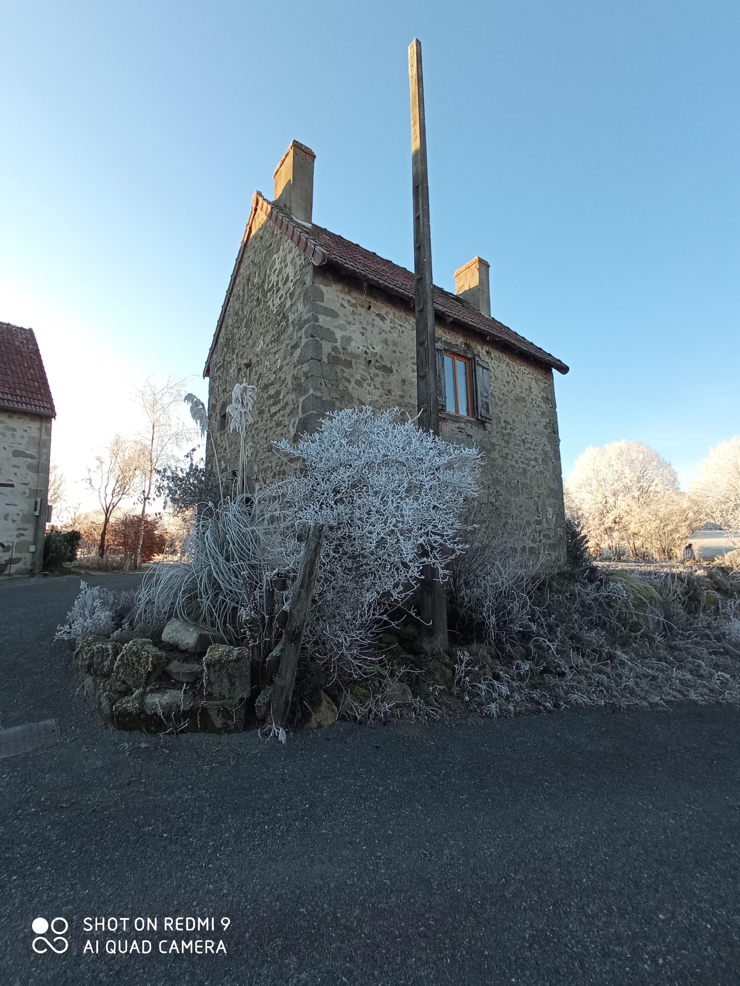 - image: 19