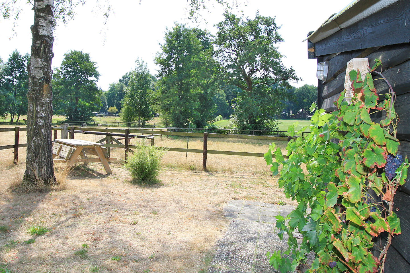Naturhäuschen in Wiesel - Apeldoorn