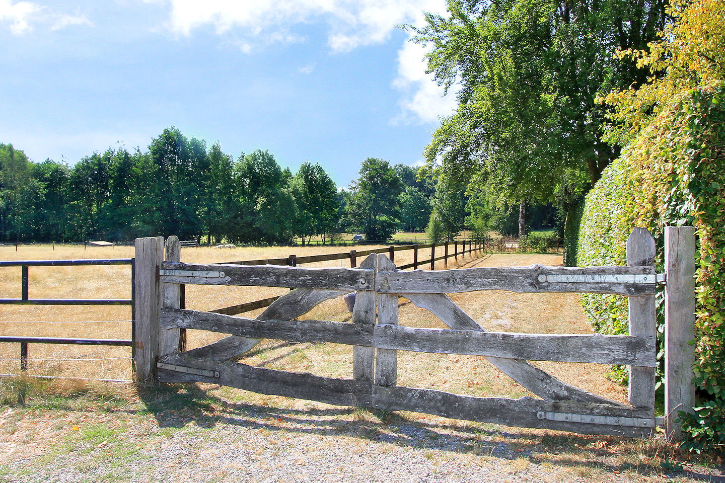 Naturhäuschen in Wiesel - Apeldoorn