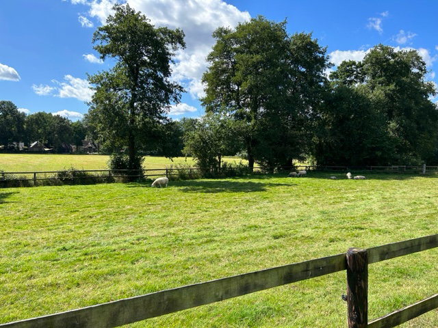 Naturhäuschen in Wiesel - Apeldoorn