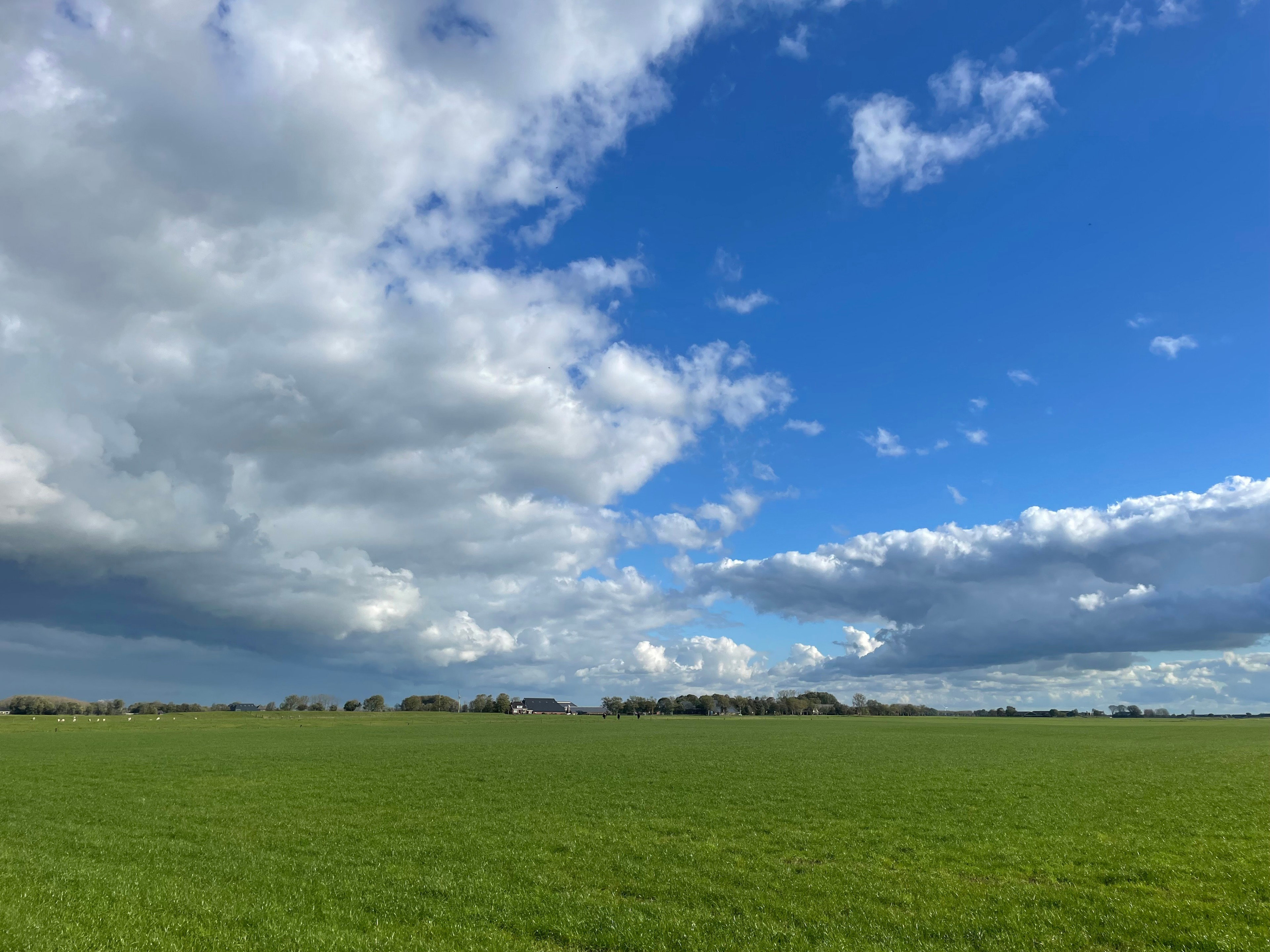 Natuurhuisje in Houwerzijl