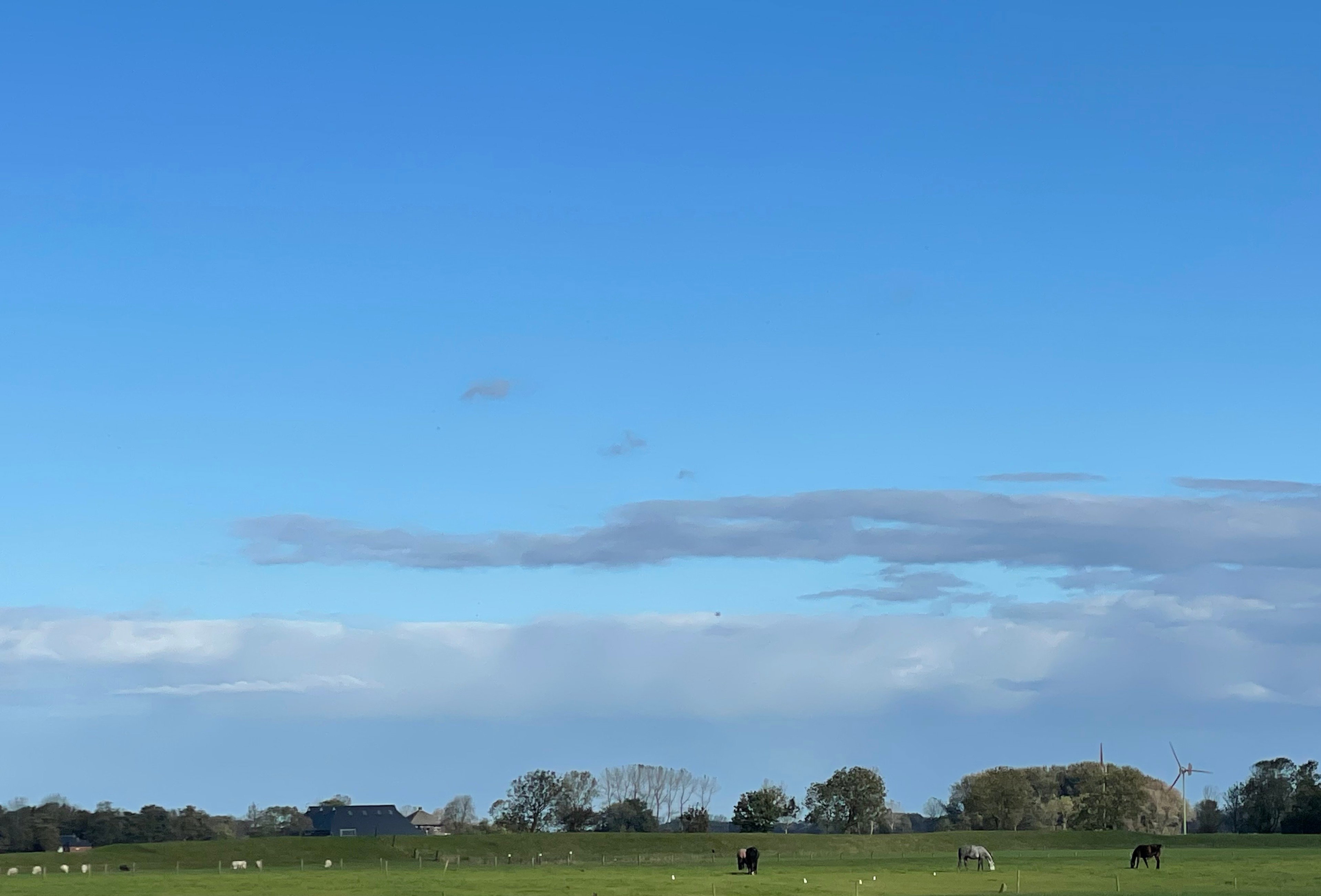 Natuurhuisje in Houwerzijl