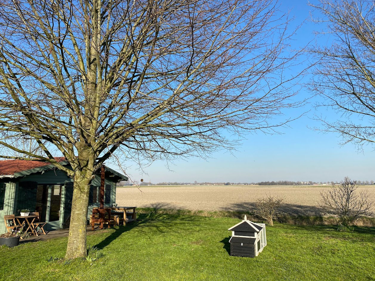 Naturhäuschen in Hengstdijk