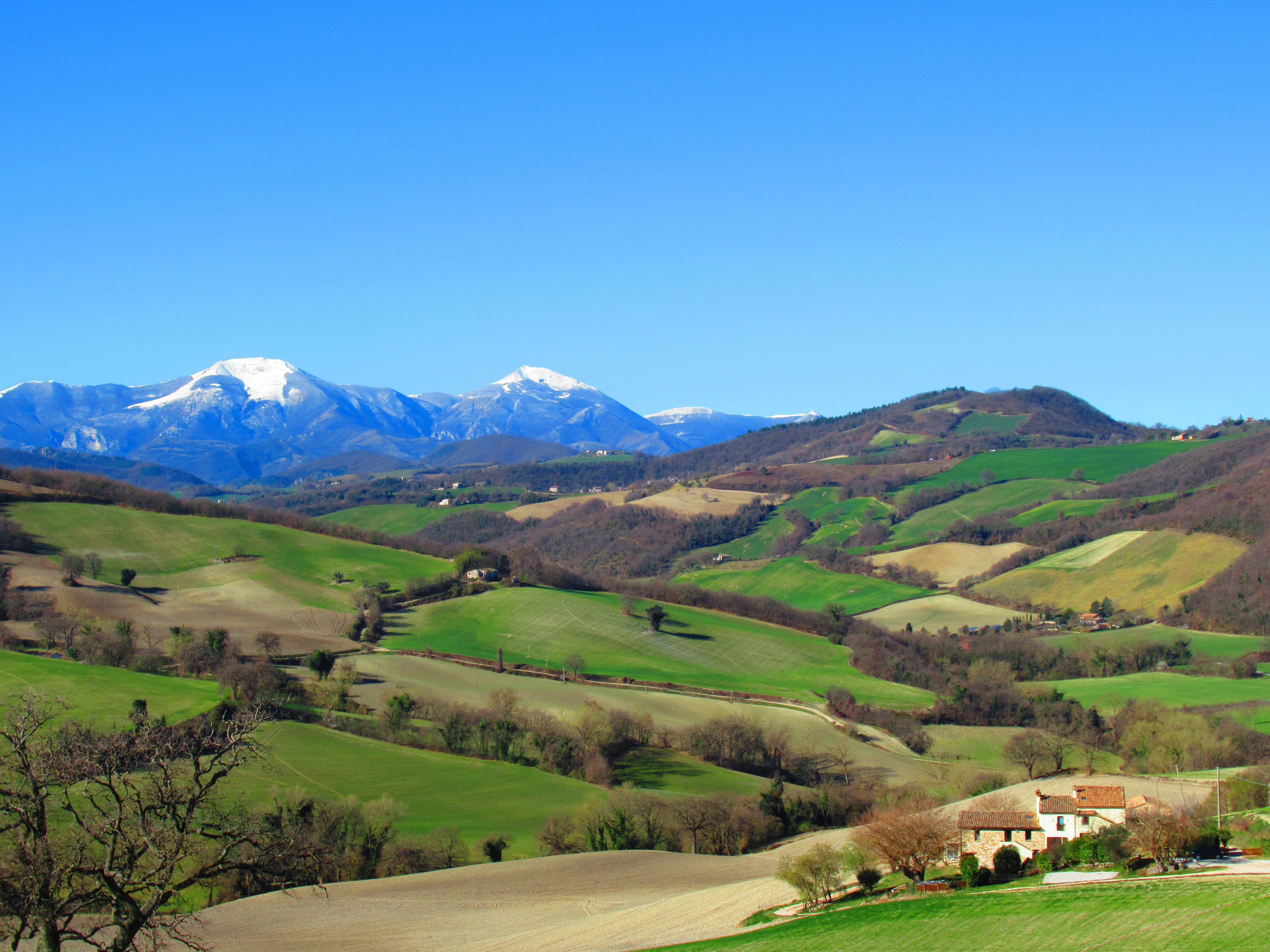 - image: 15