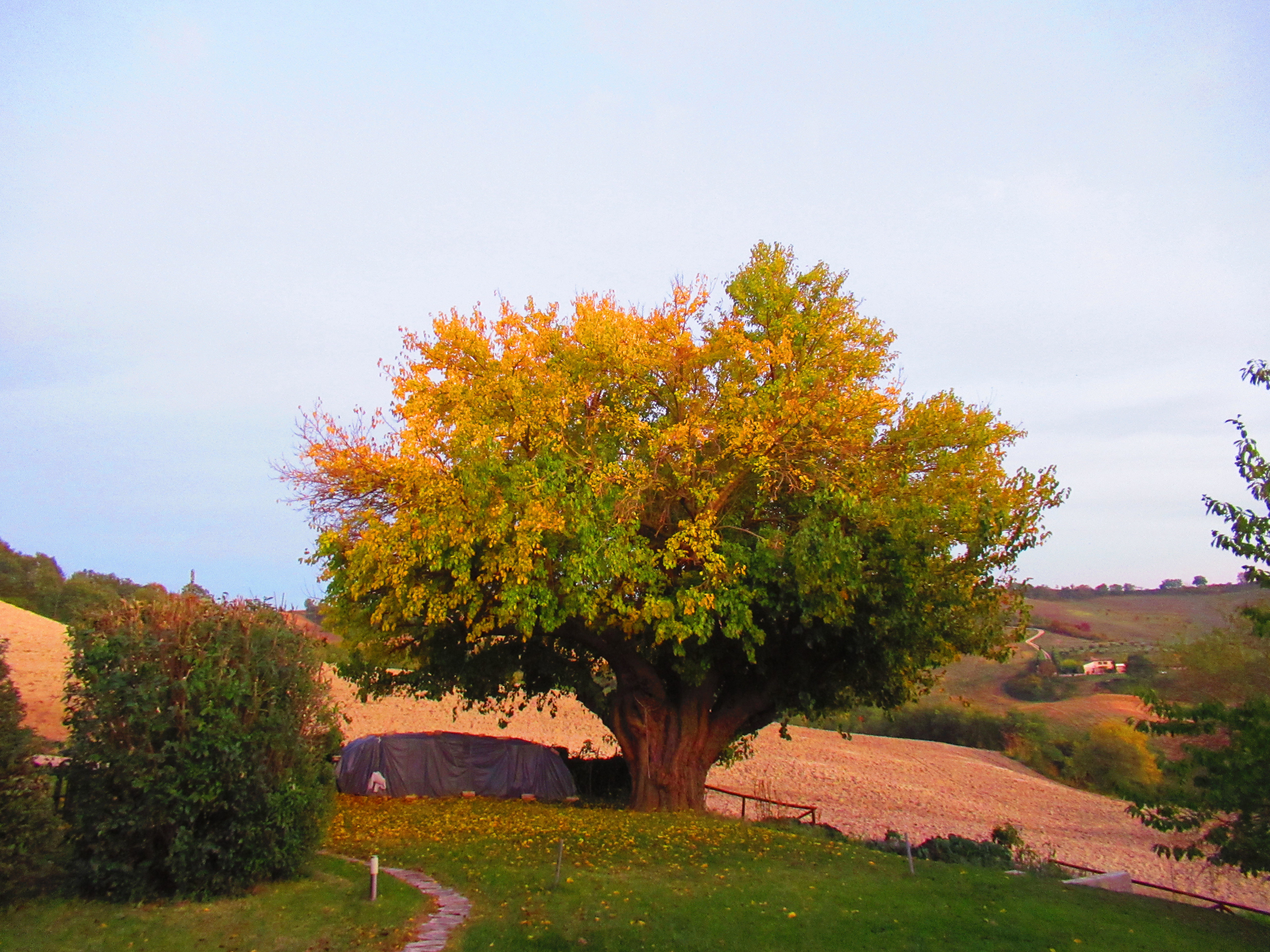 - image: 20