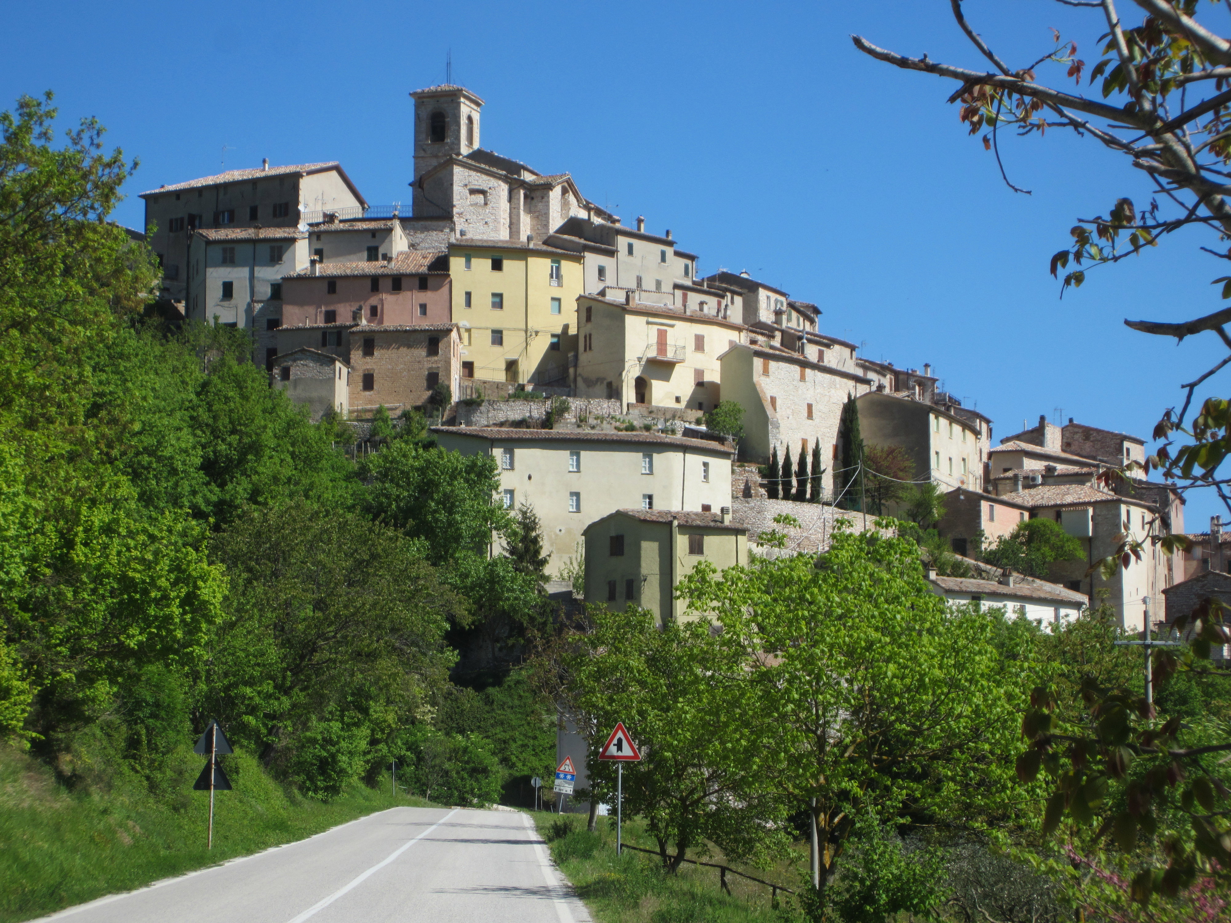 - image: 12