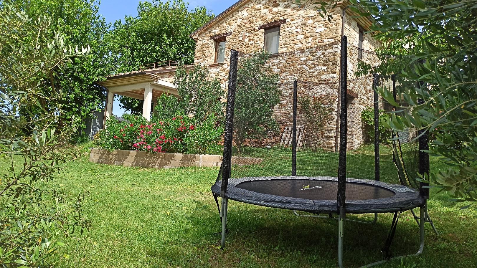 - image: 45