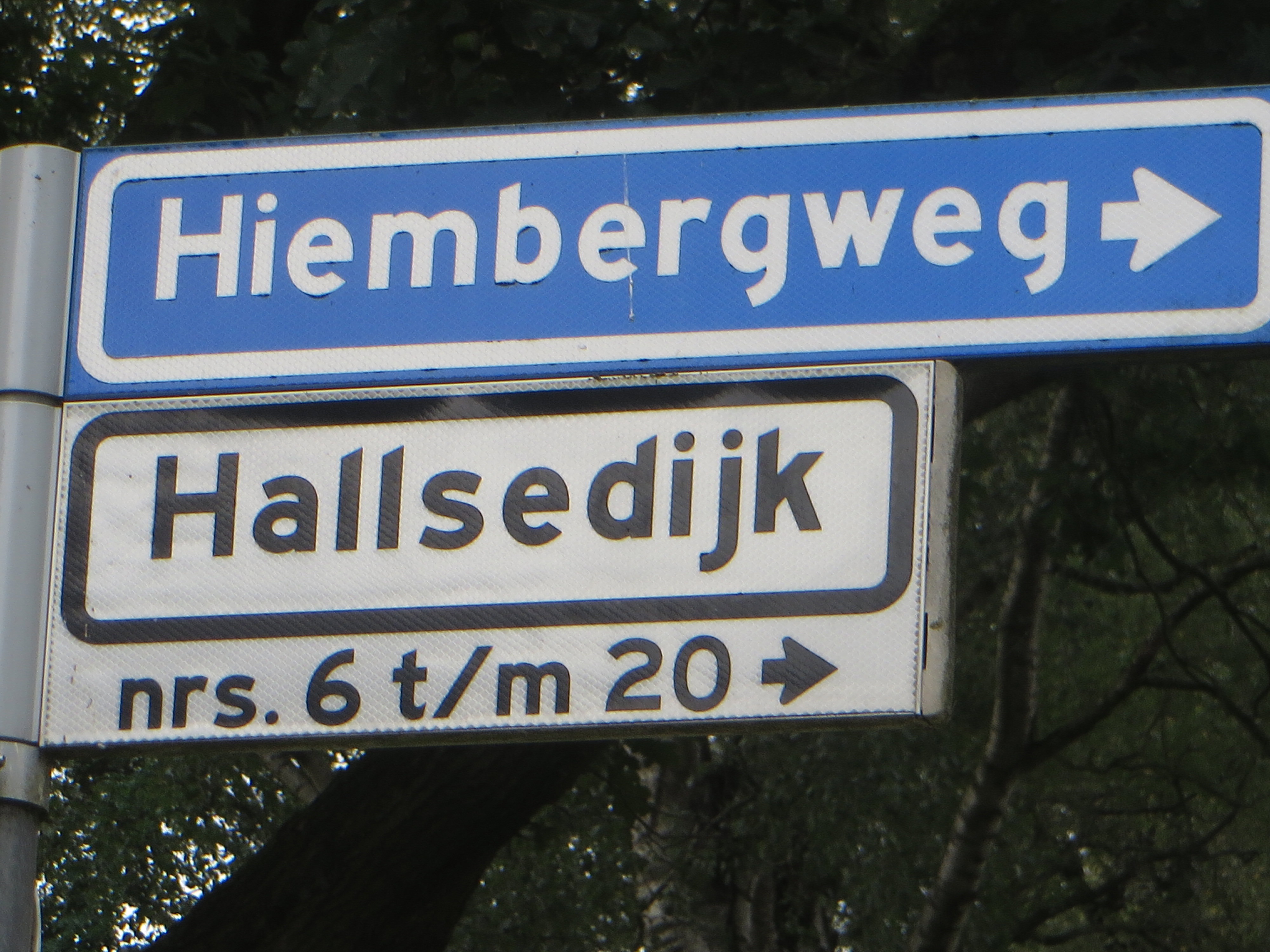 - image: 21