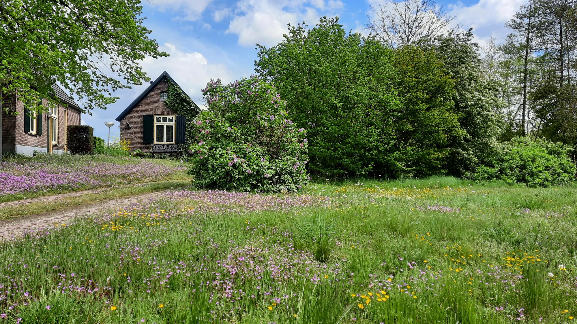 Natuurhuisje in Tonden