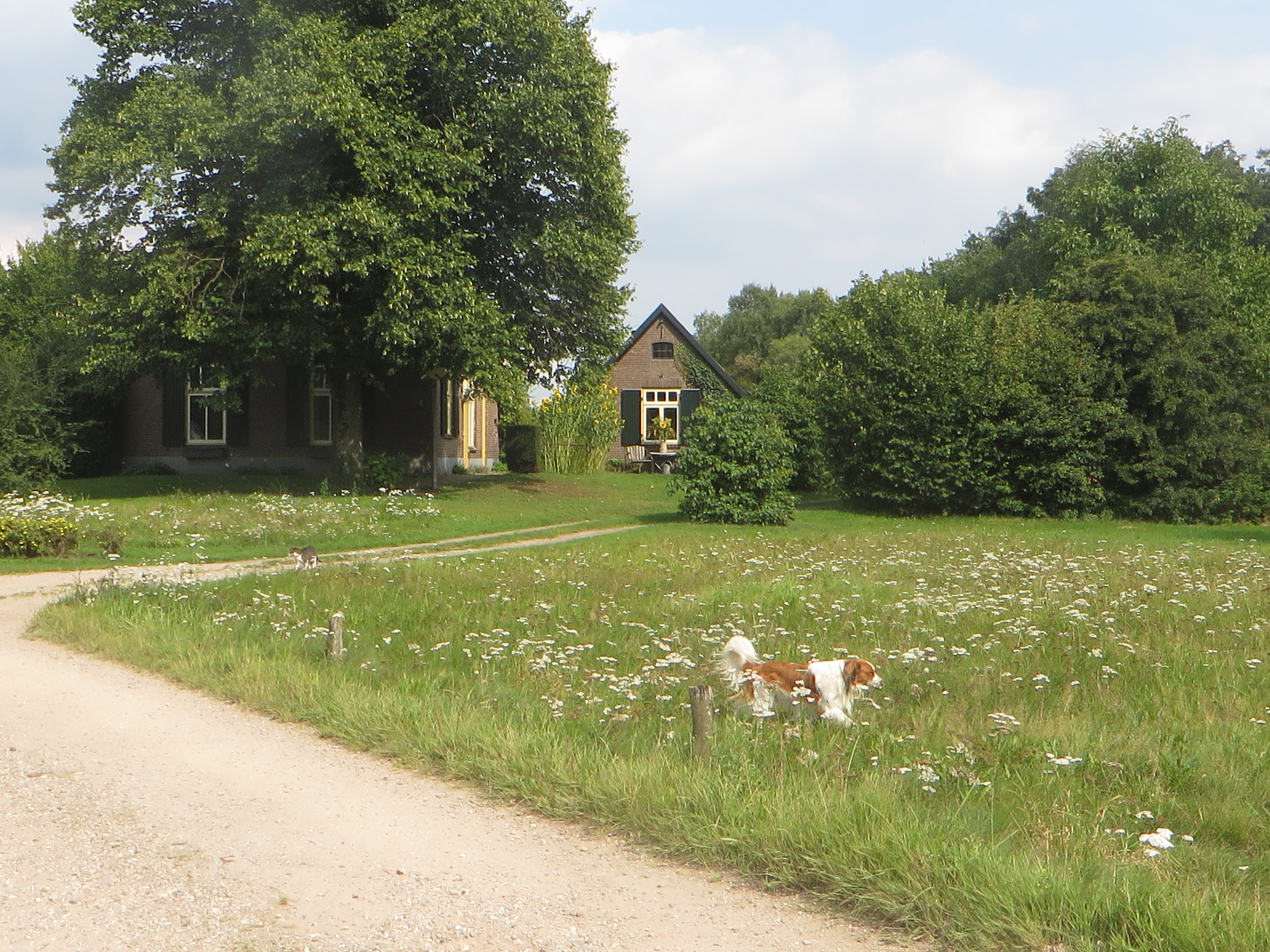 Natuurhuisje in Tonden