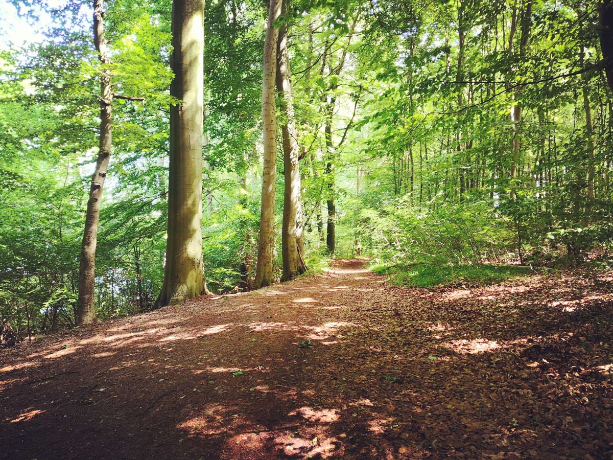 - image: 13