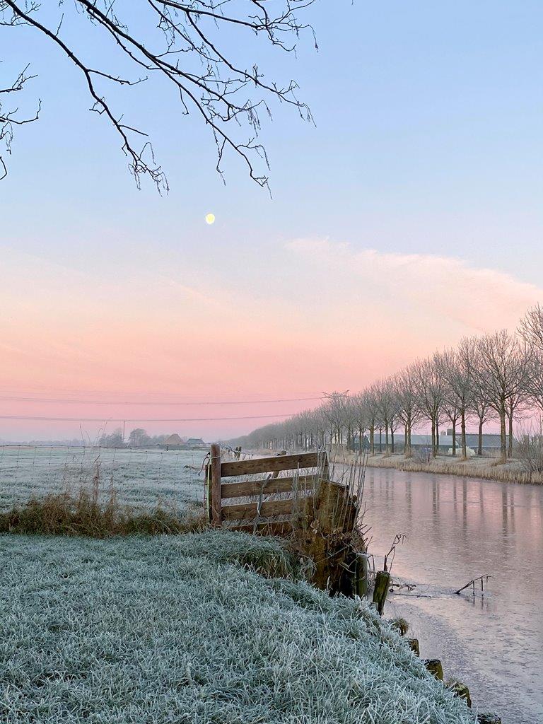 - image: 85