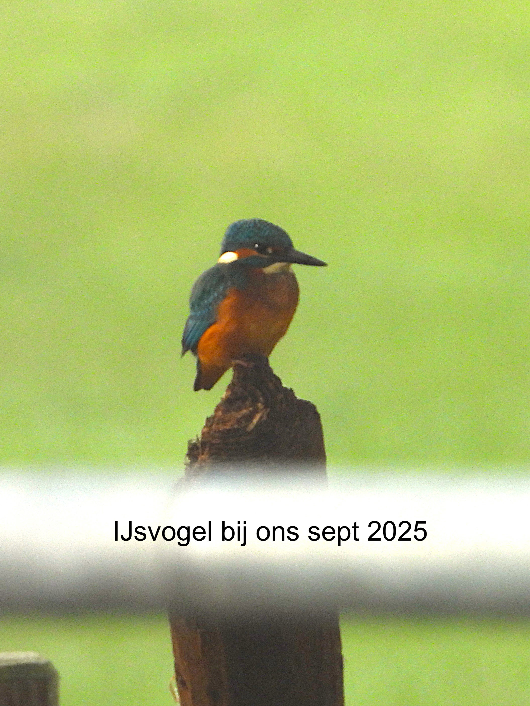 - image: 110