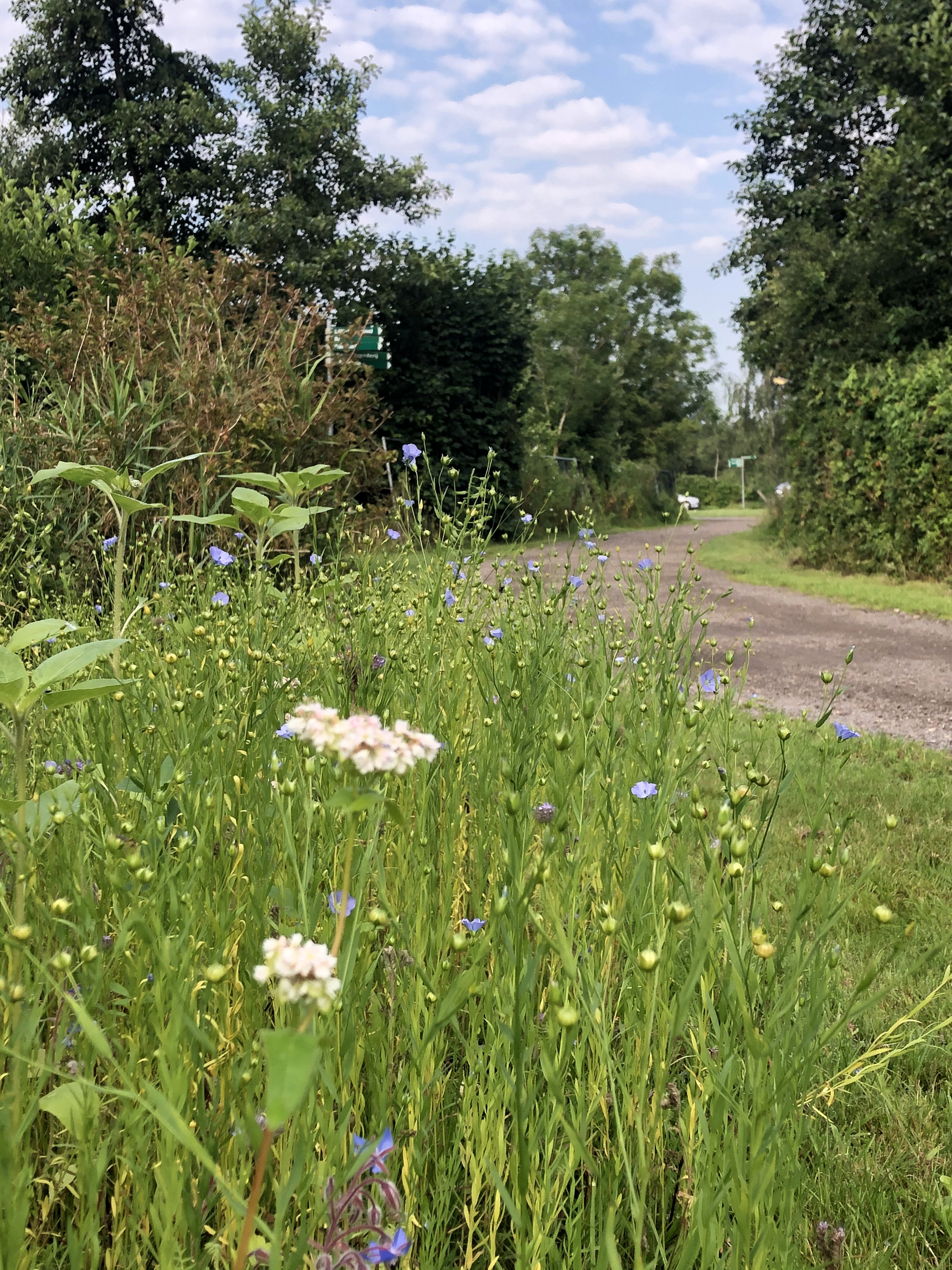 Natuurhuisje in Damwald