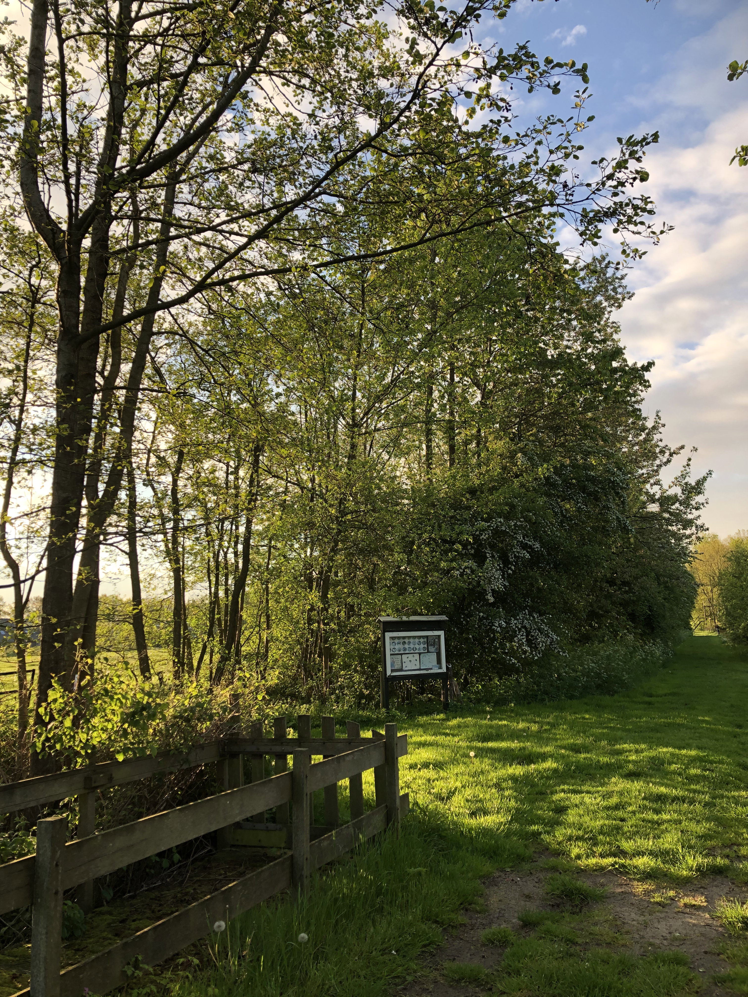 Natuurhuisje in Damwald