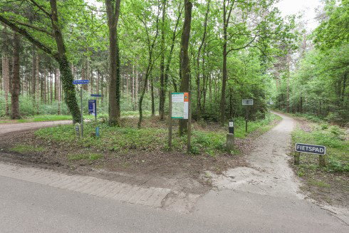 - image: 23