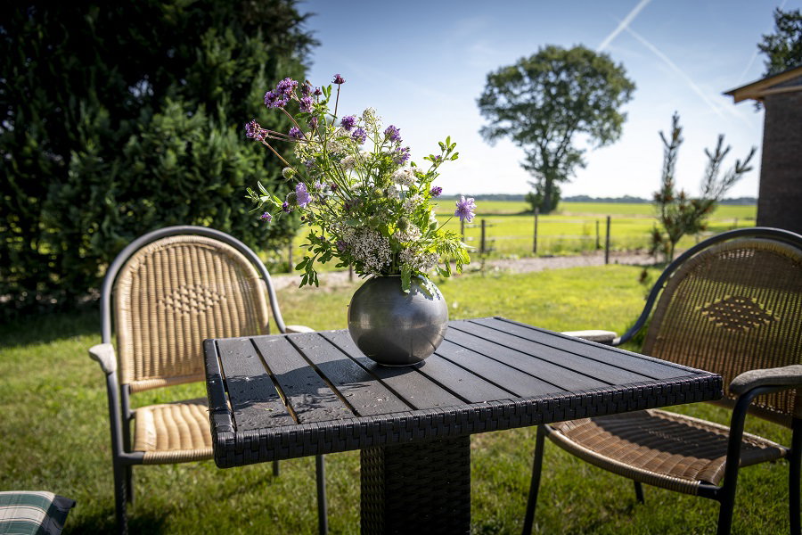 Natuurhuisje in Balkbrug