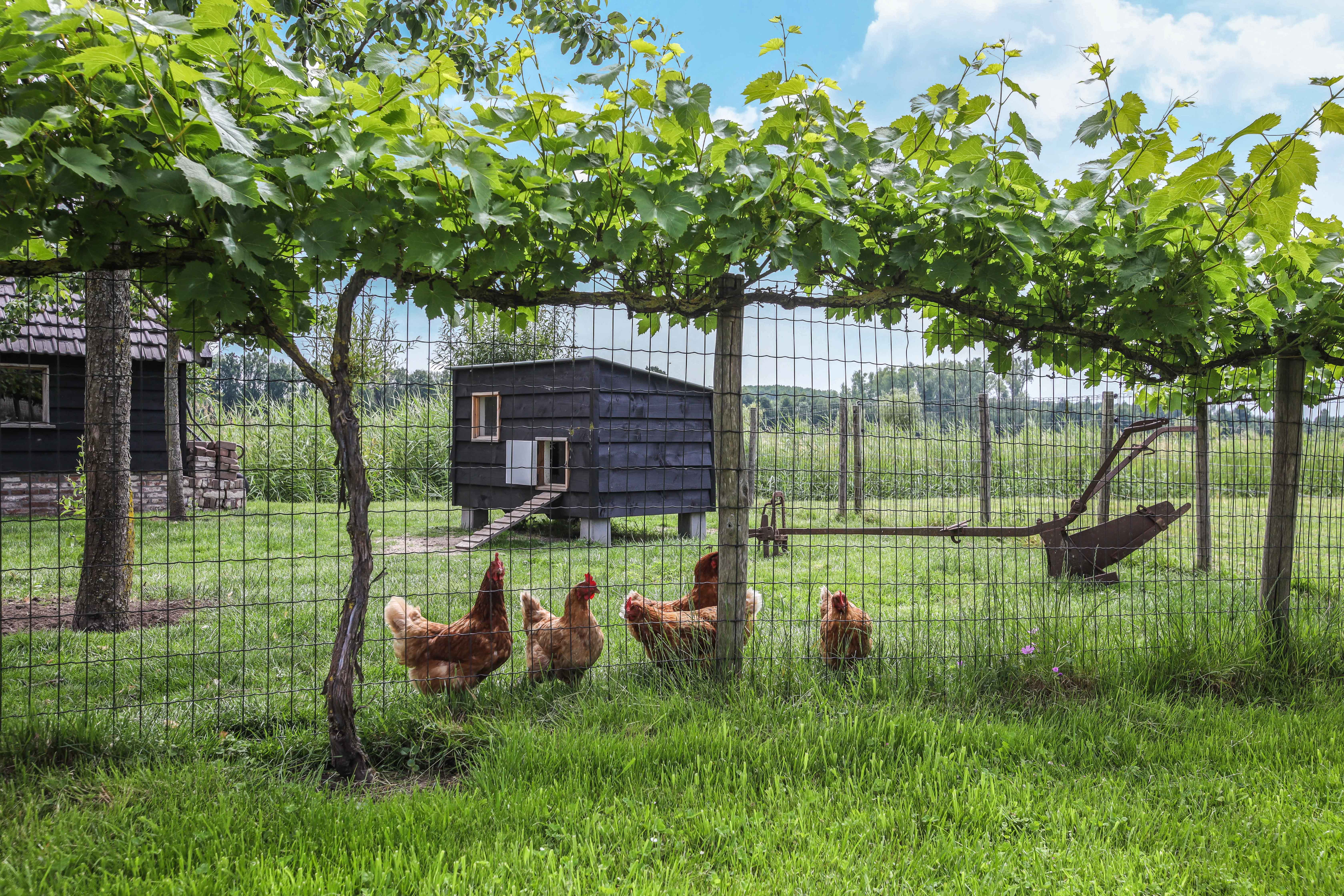 Casa nella natura a Langbroek