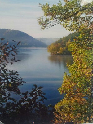 - image: 21