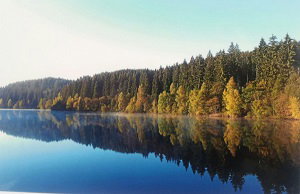 - image: 19