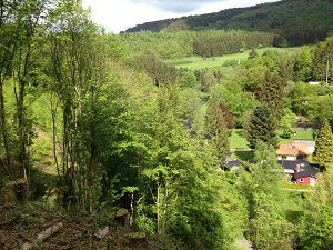 - image: 5