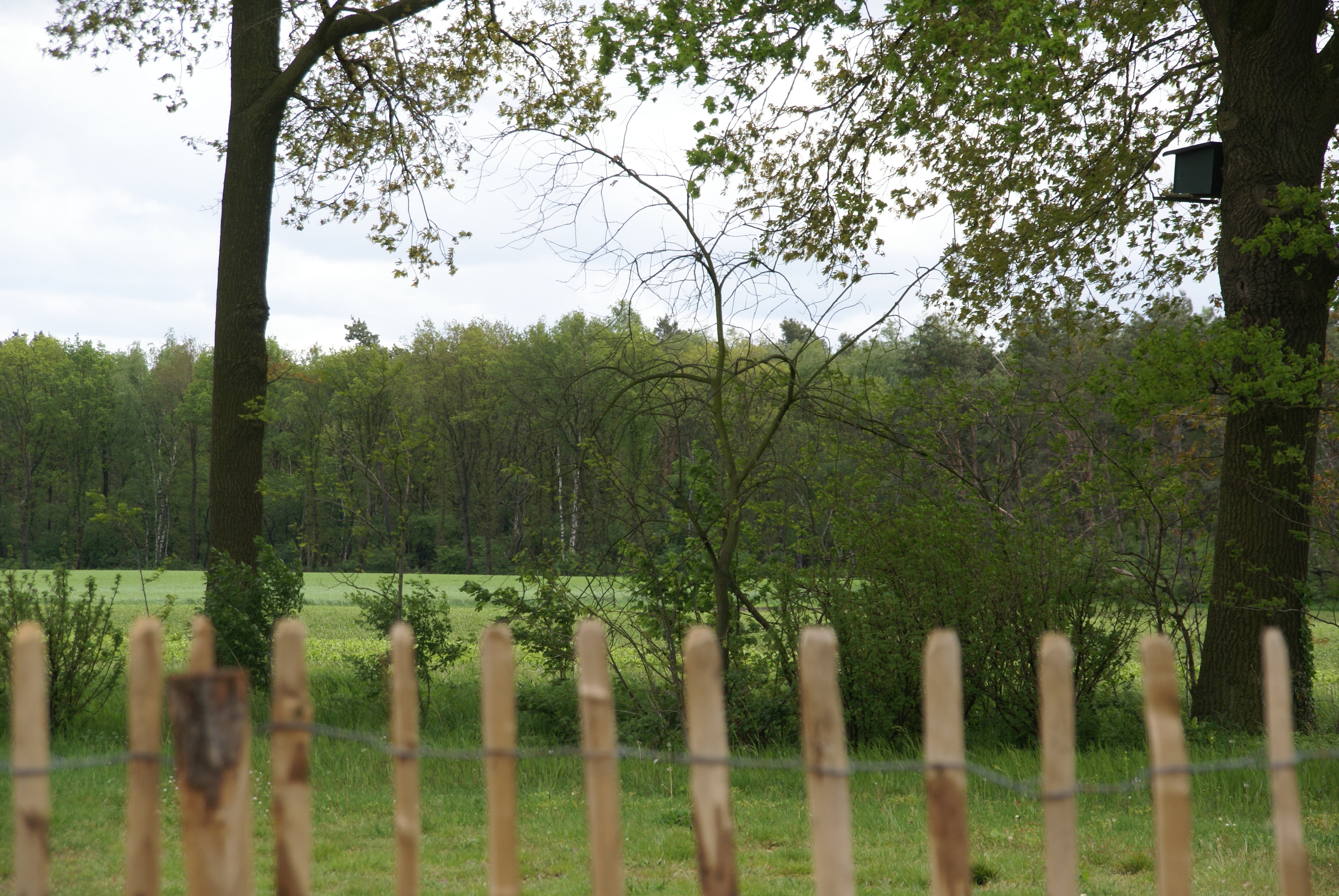 Natuurhuisje in Grashoek