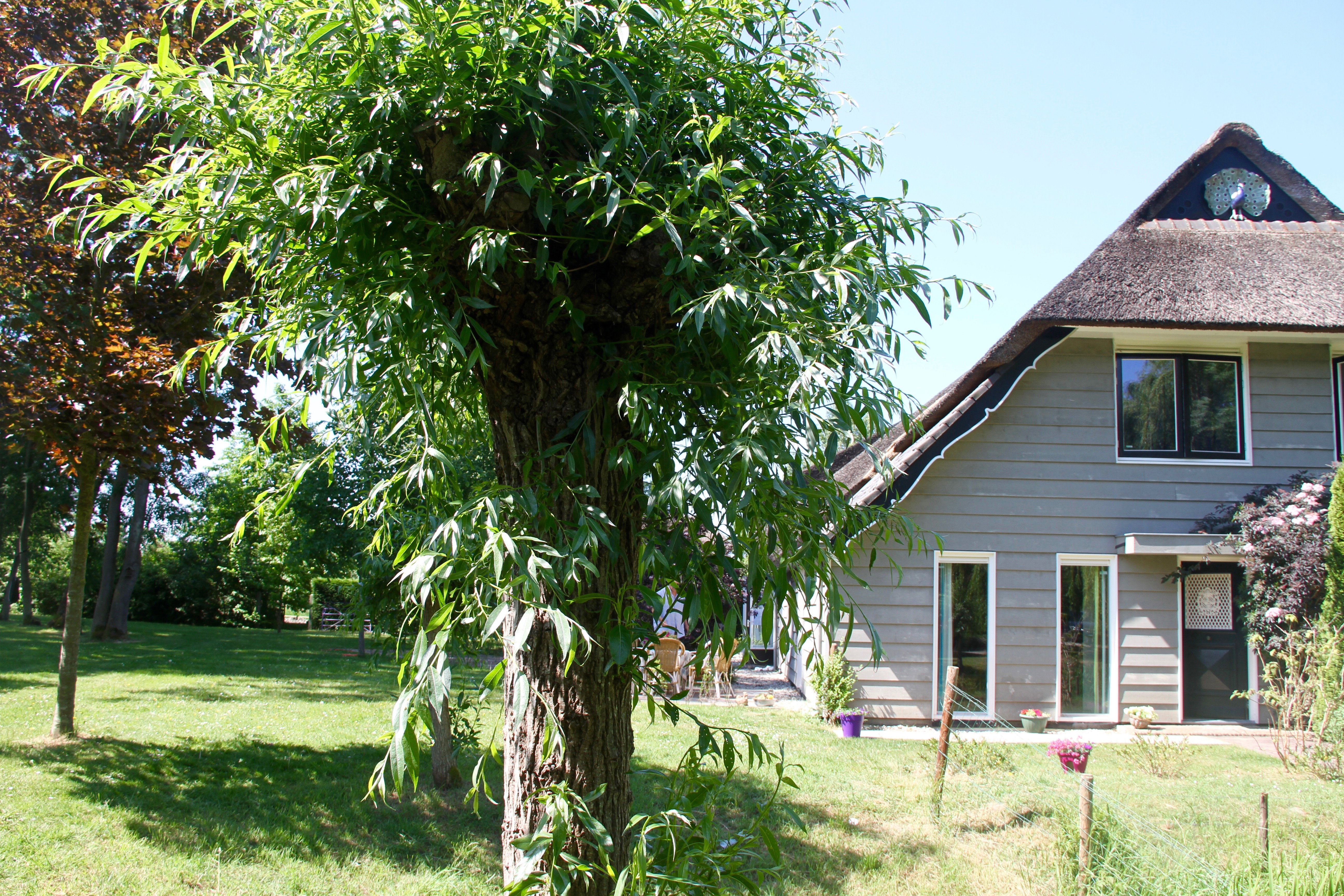 Natuurhuisje in Geersdijk