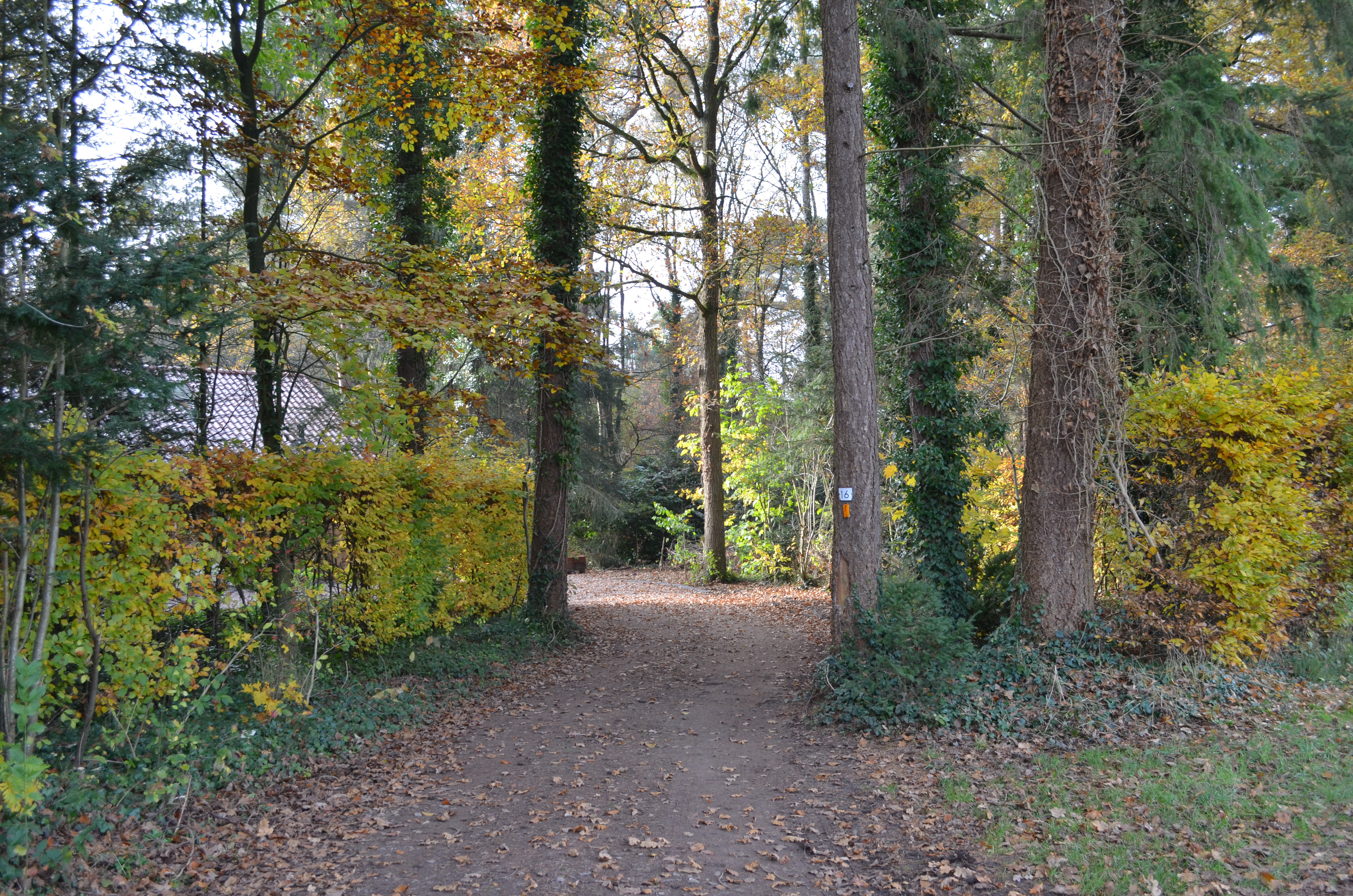 Naturhäuschen in Joppe