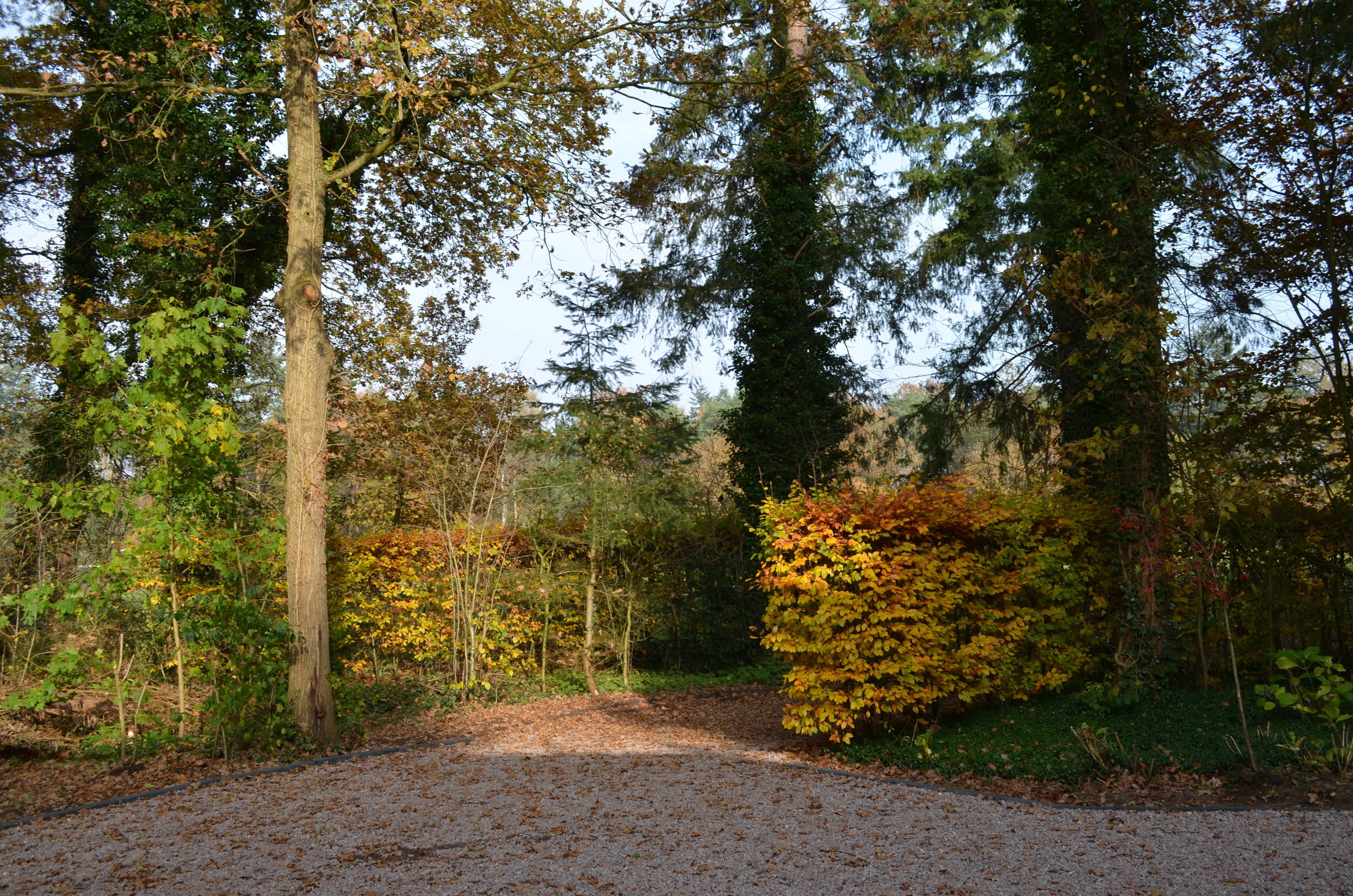 Naturhäuschen in Joppe