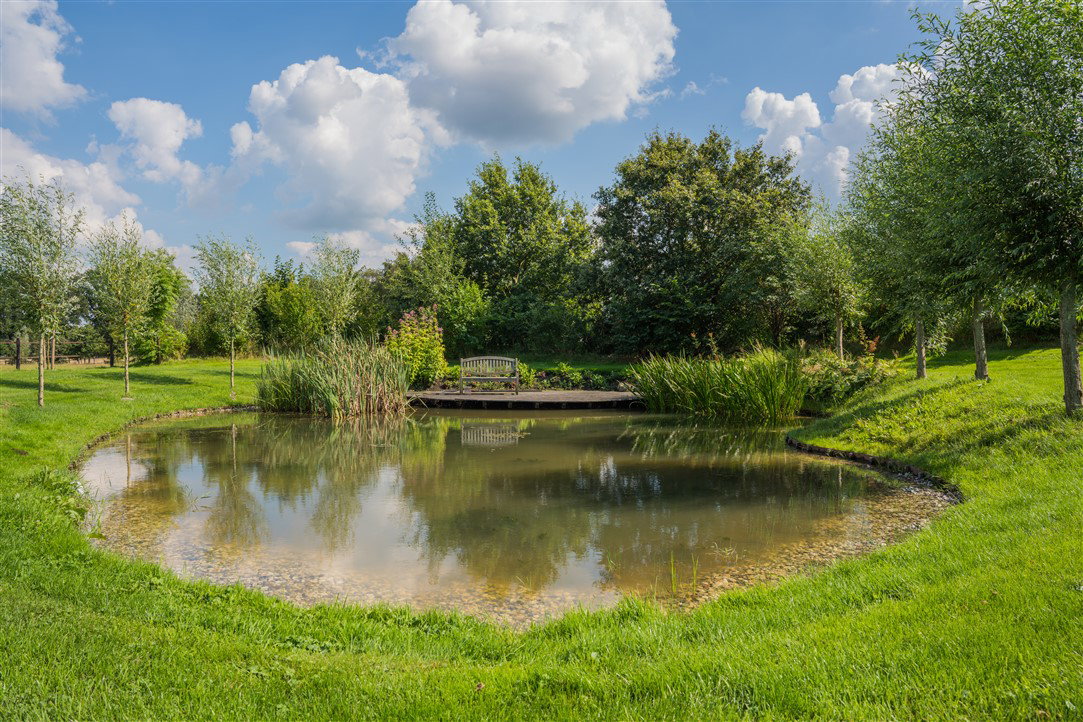 - image: 11