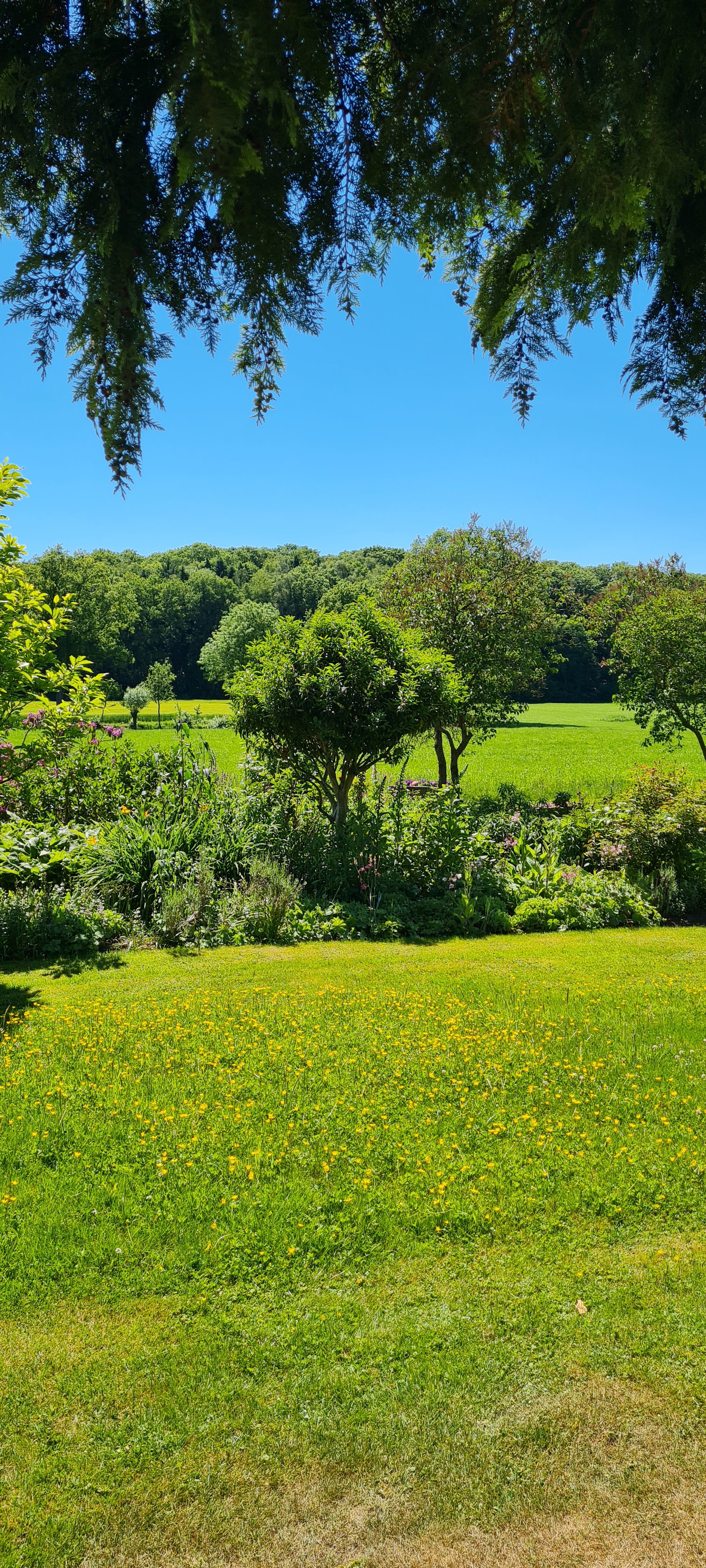 Natuurhuisje in Lochem