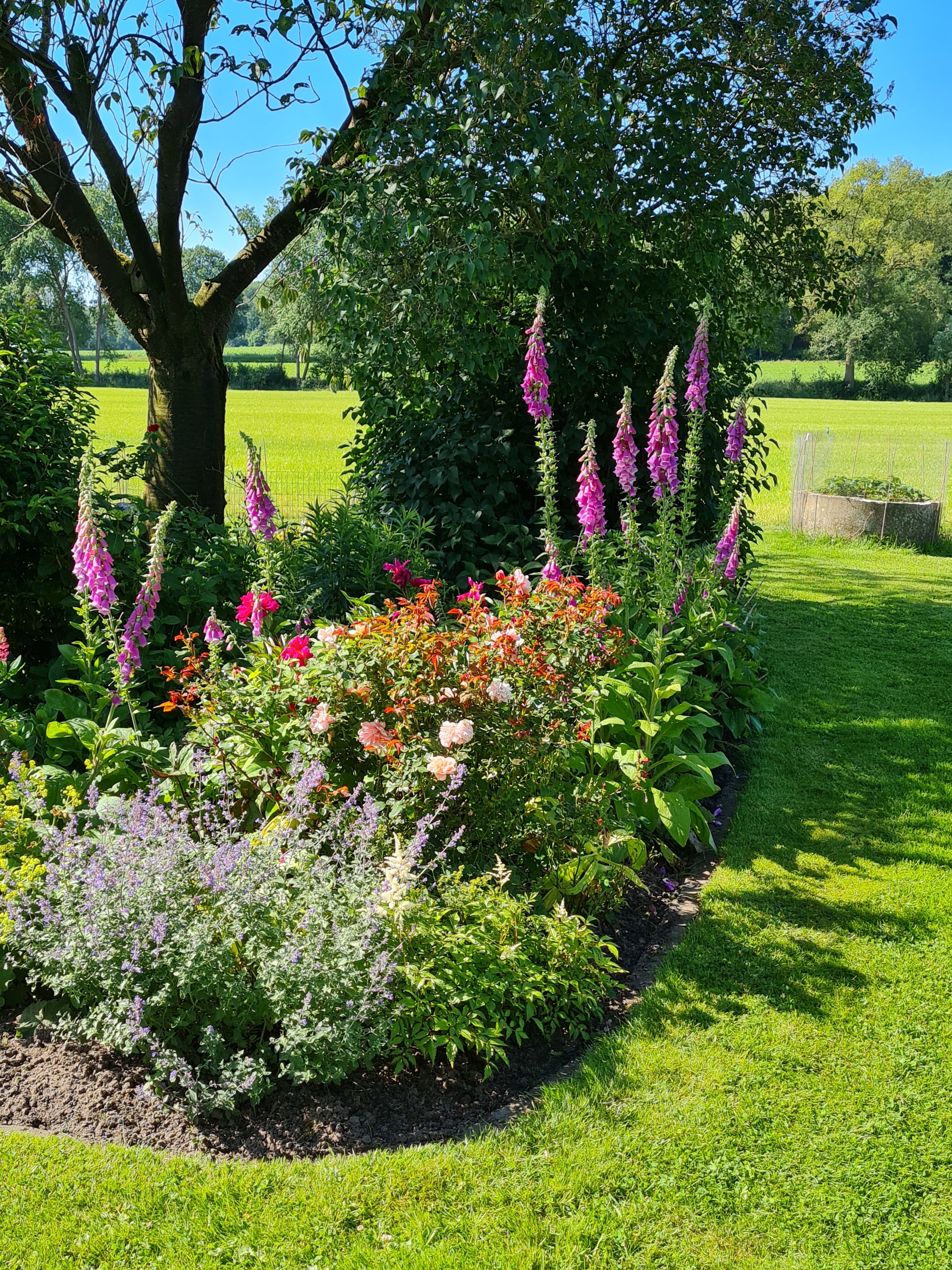 Naturhäuschen in Lochem