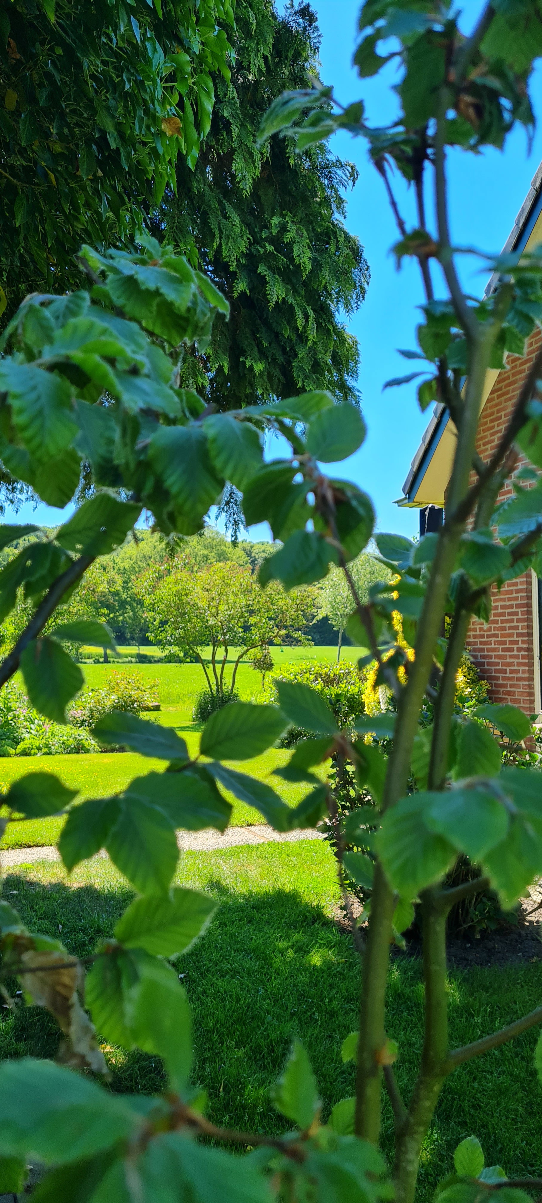 Natuurhuisje in Lochem
